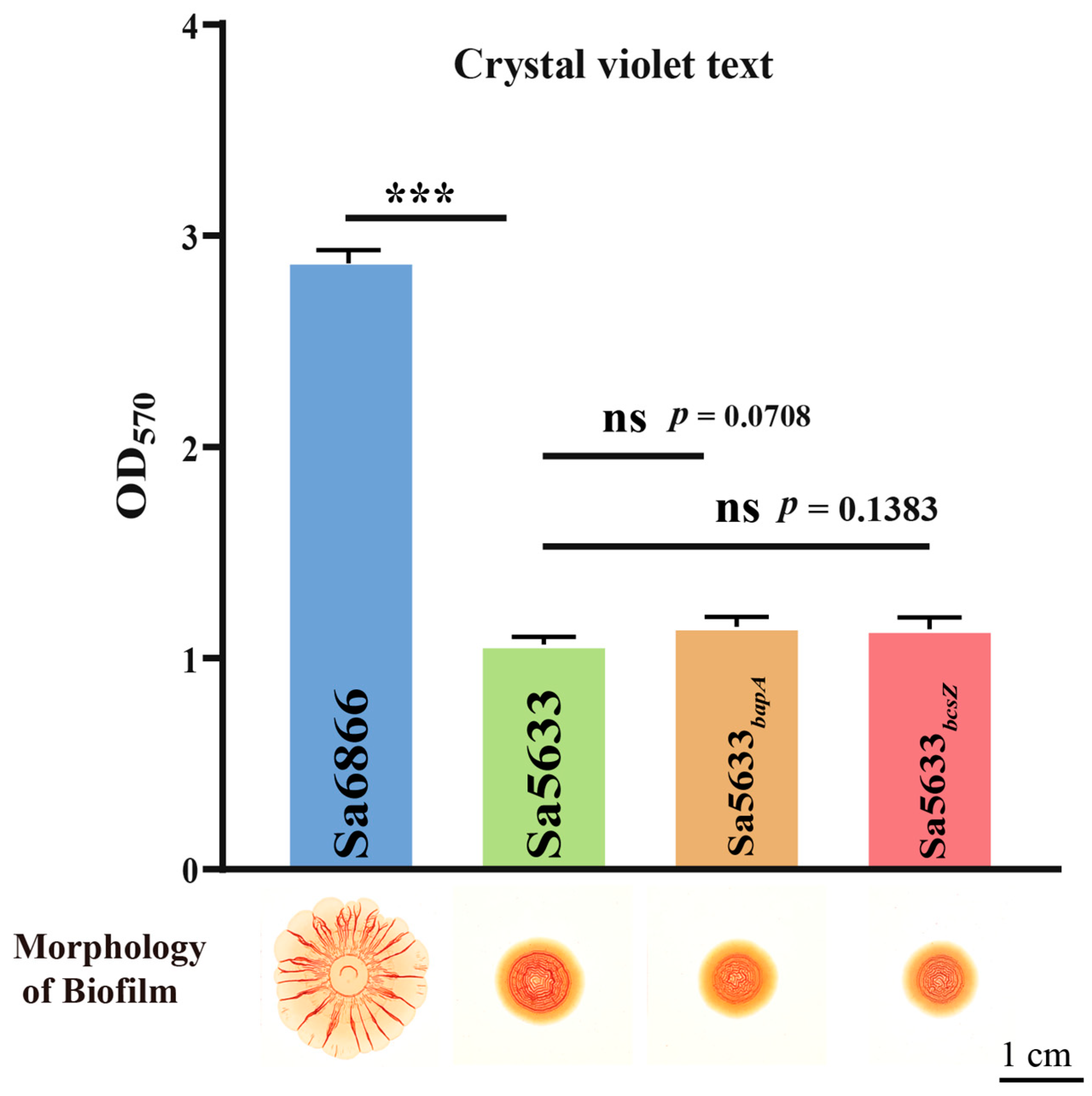 Microorganisms 12 01258 g003