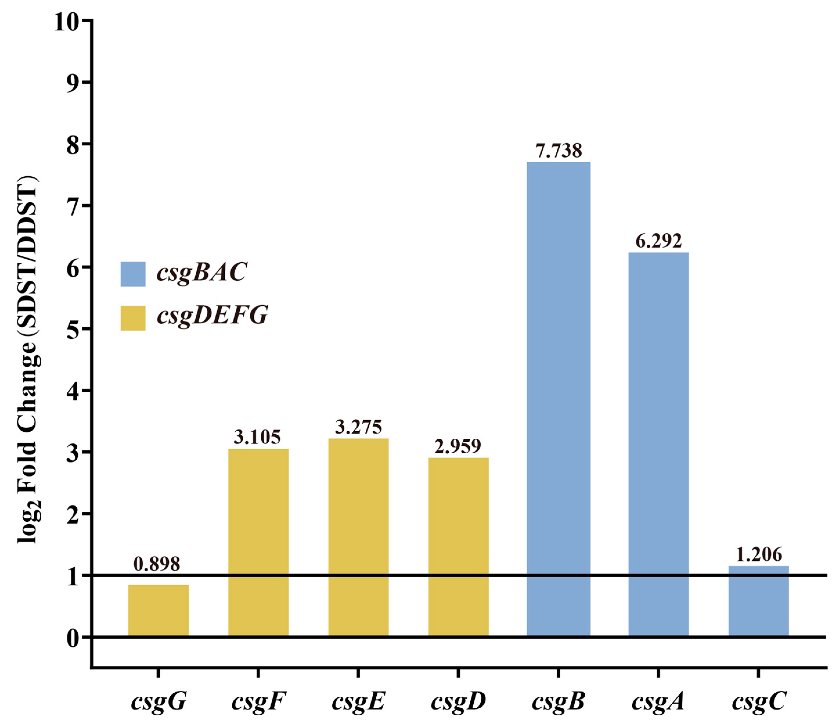 Microorganisms 12 01258 g004