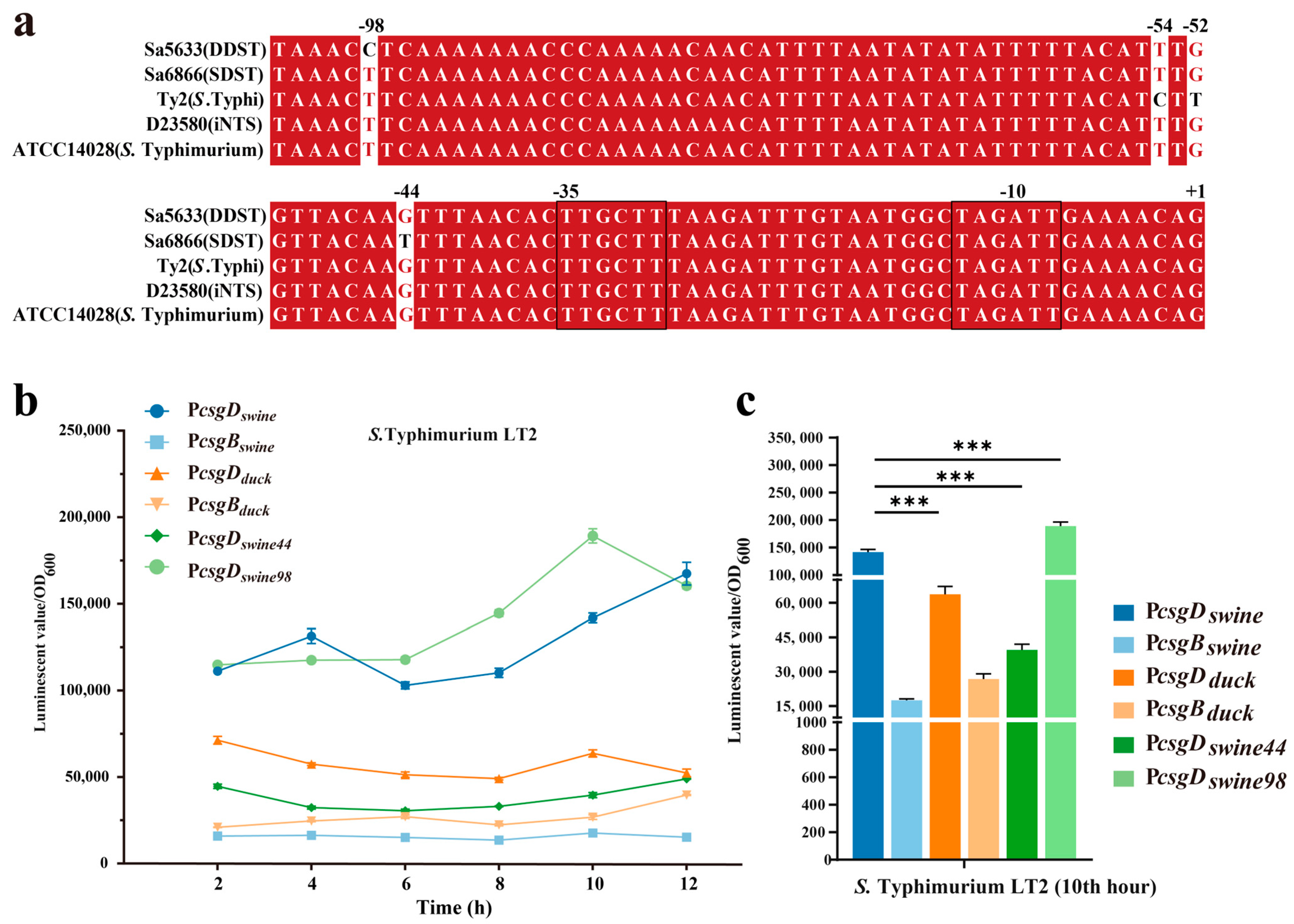Microorganisms 12 01258 g006