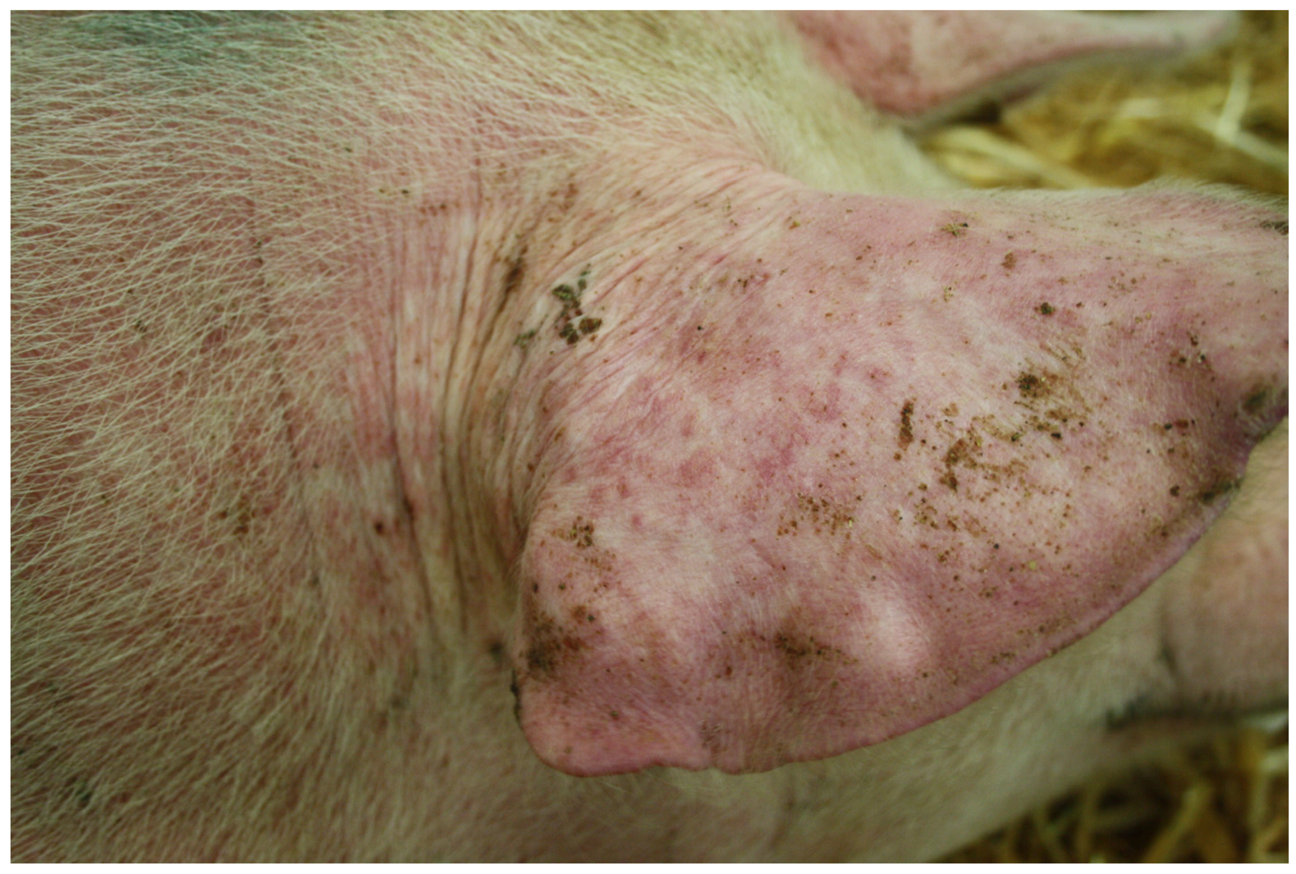 Microorganisms 12 01267 g002 Microorganisms 12 01267 g002