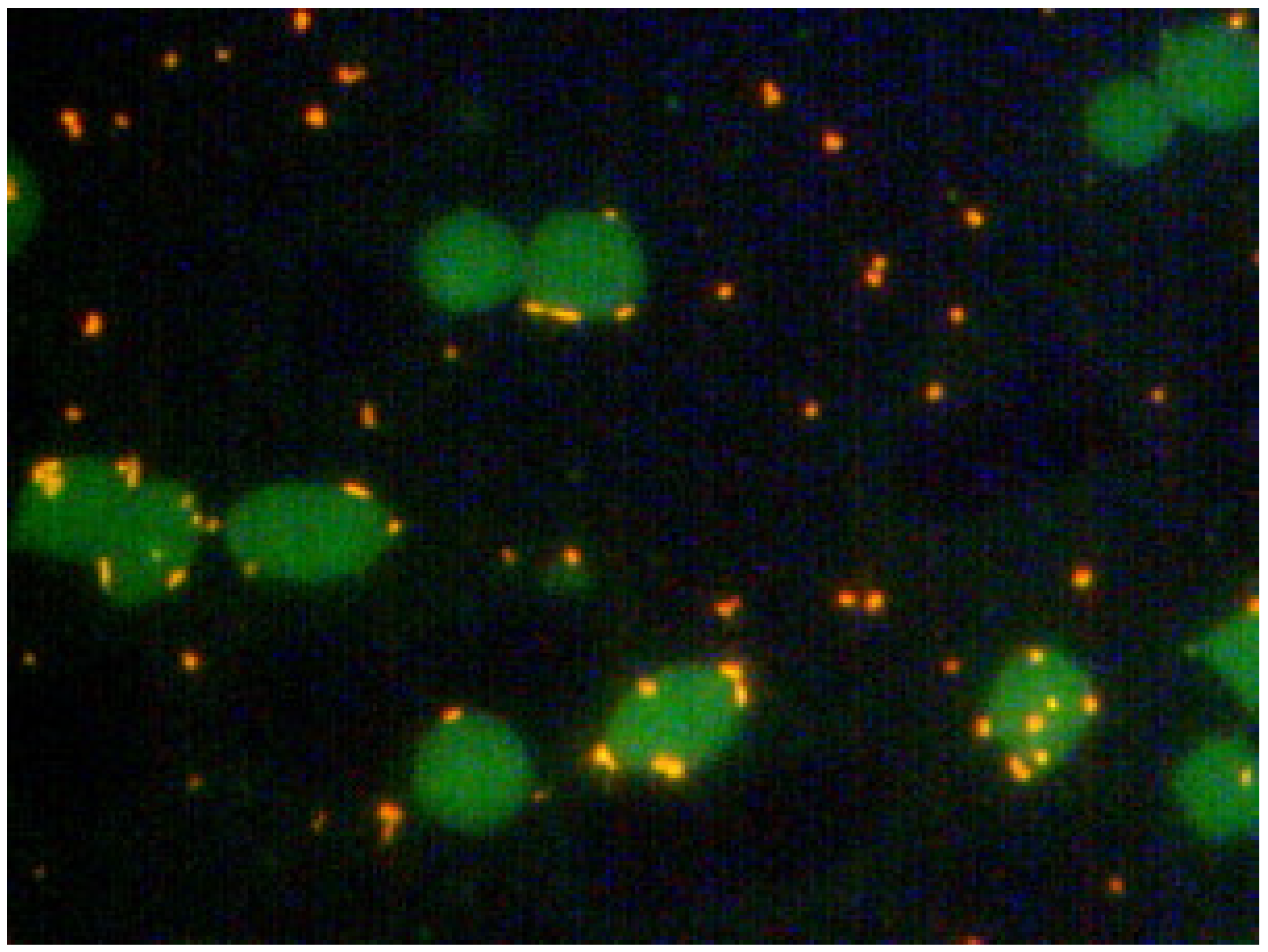 Microorganisms 12 01267 g004 Microorganisms 12 01267 g004