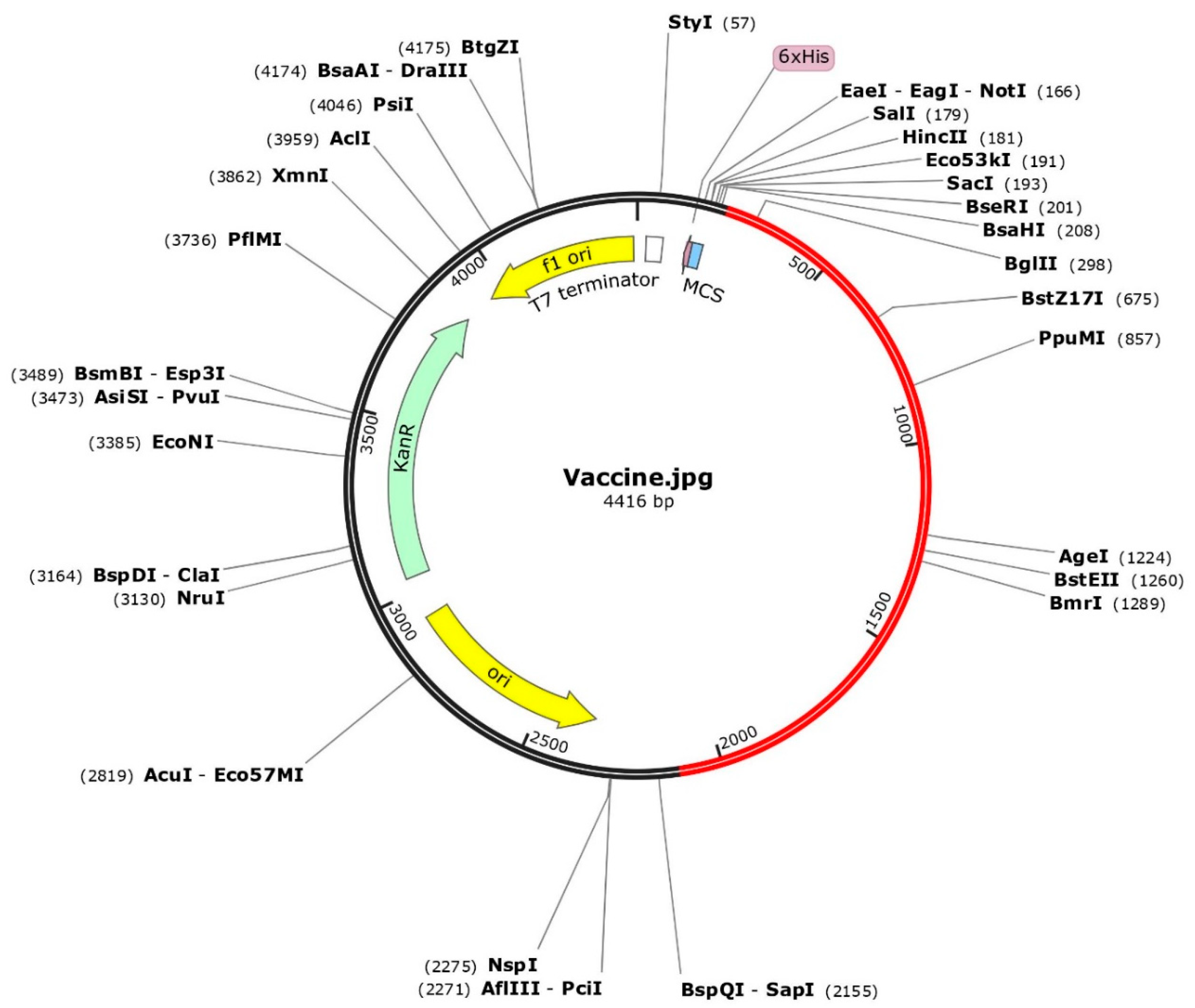 Microorganisms 12 01270 g008