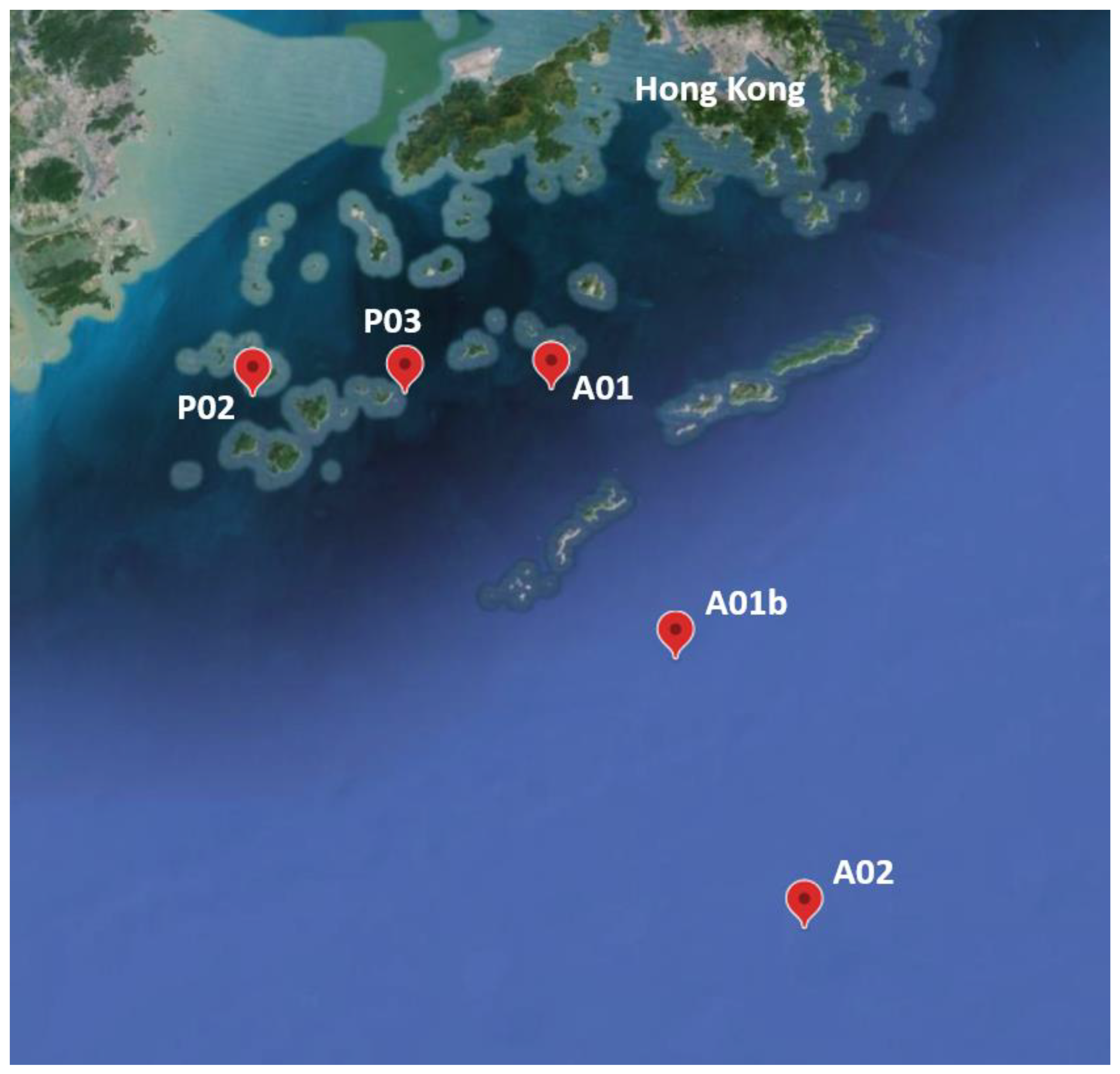 Microorganisms 12 01273 g001