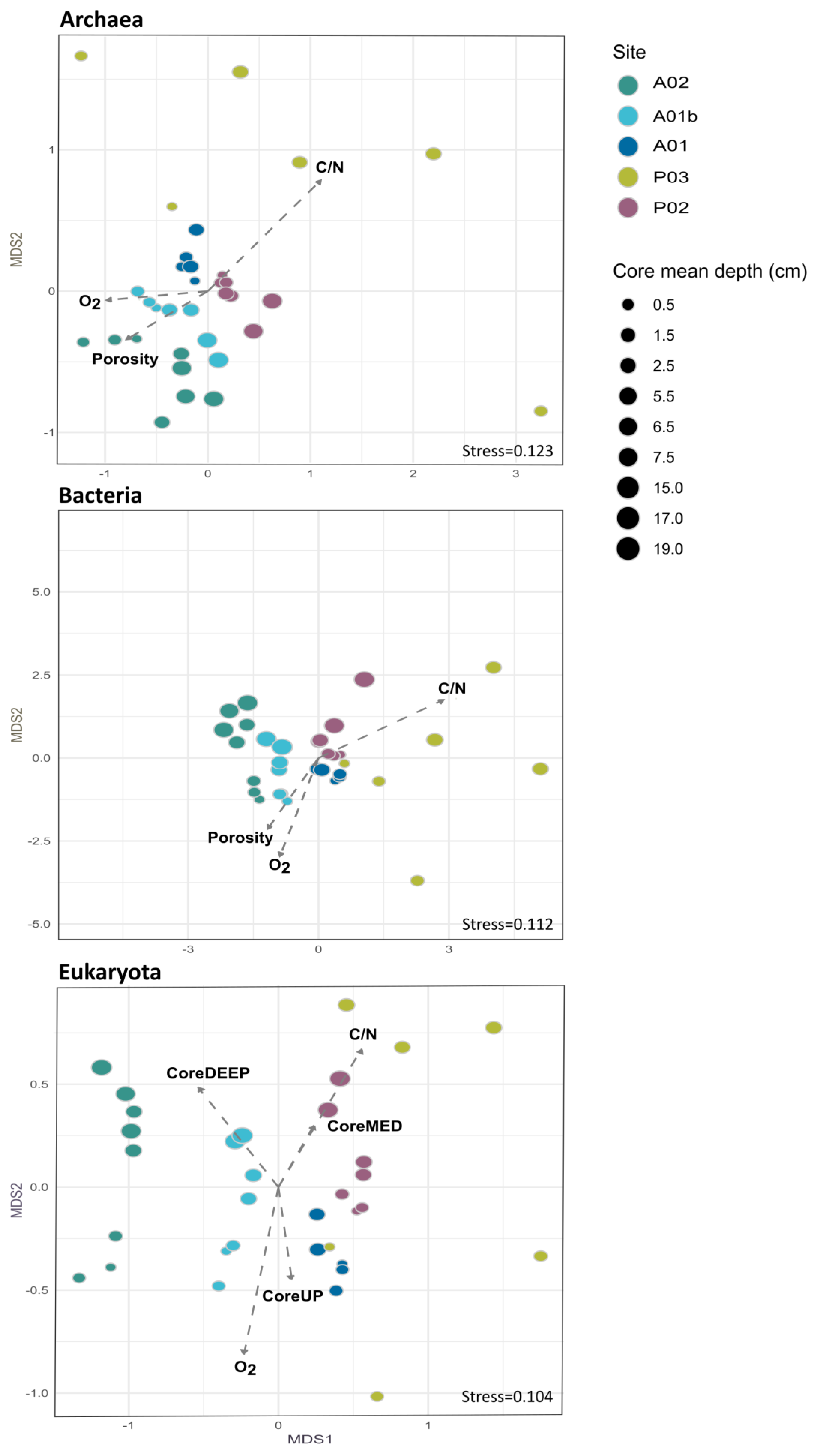 Microorganisms 12 01273 g002