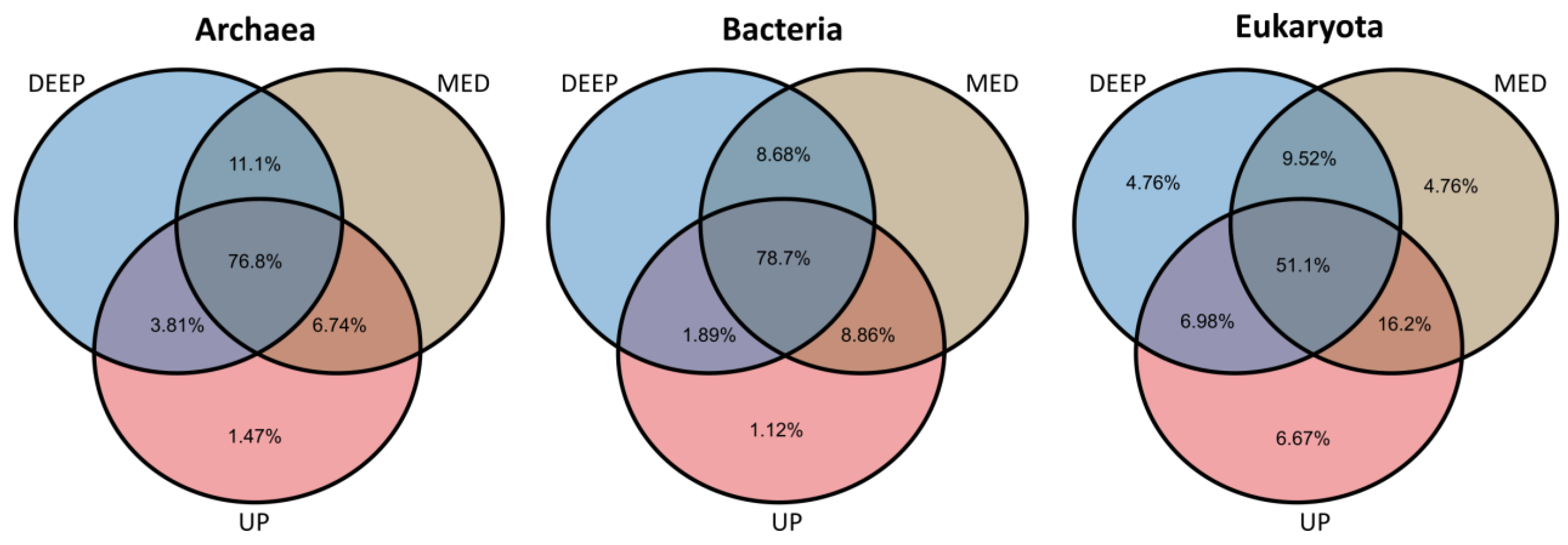 Microorganisms 12 01273 g004