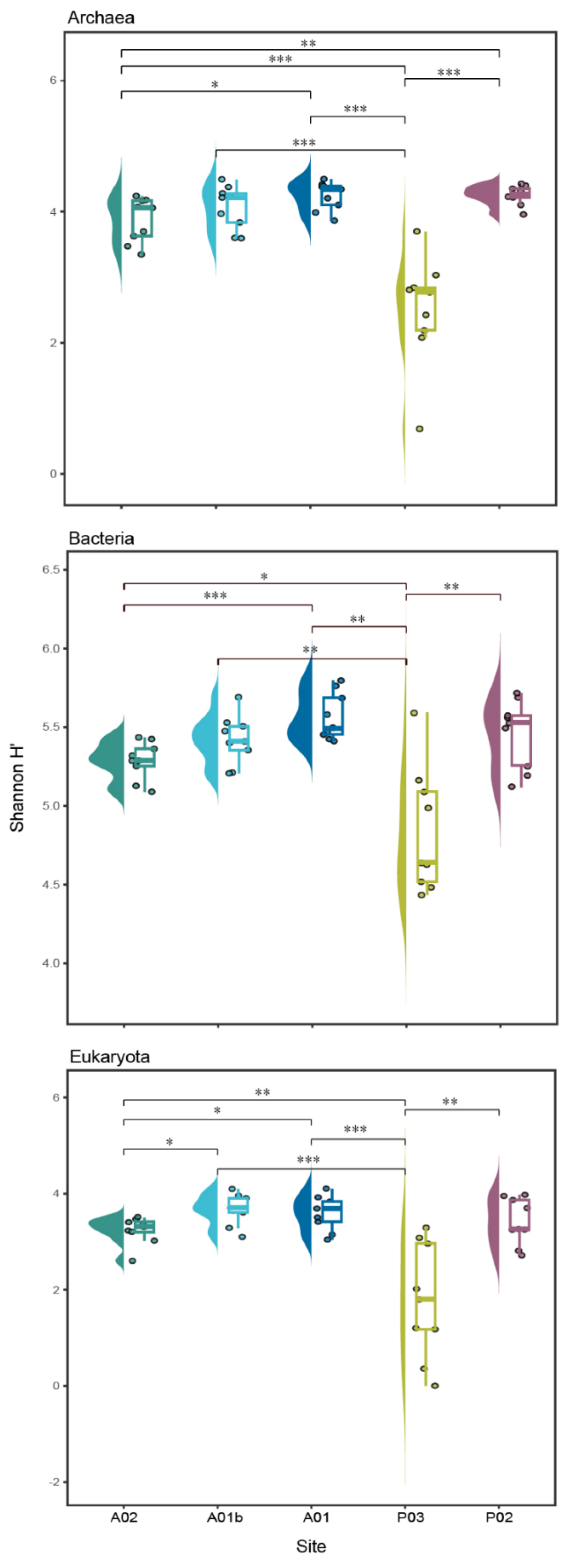 Microorganisms 12 01273 g005