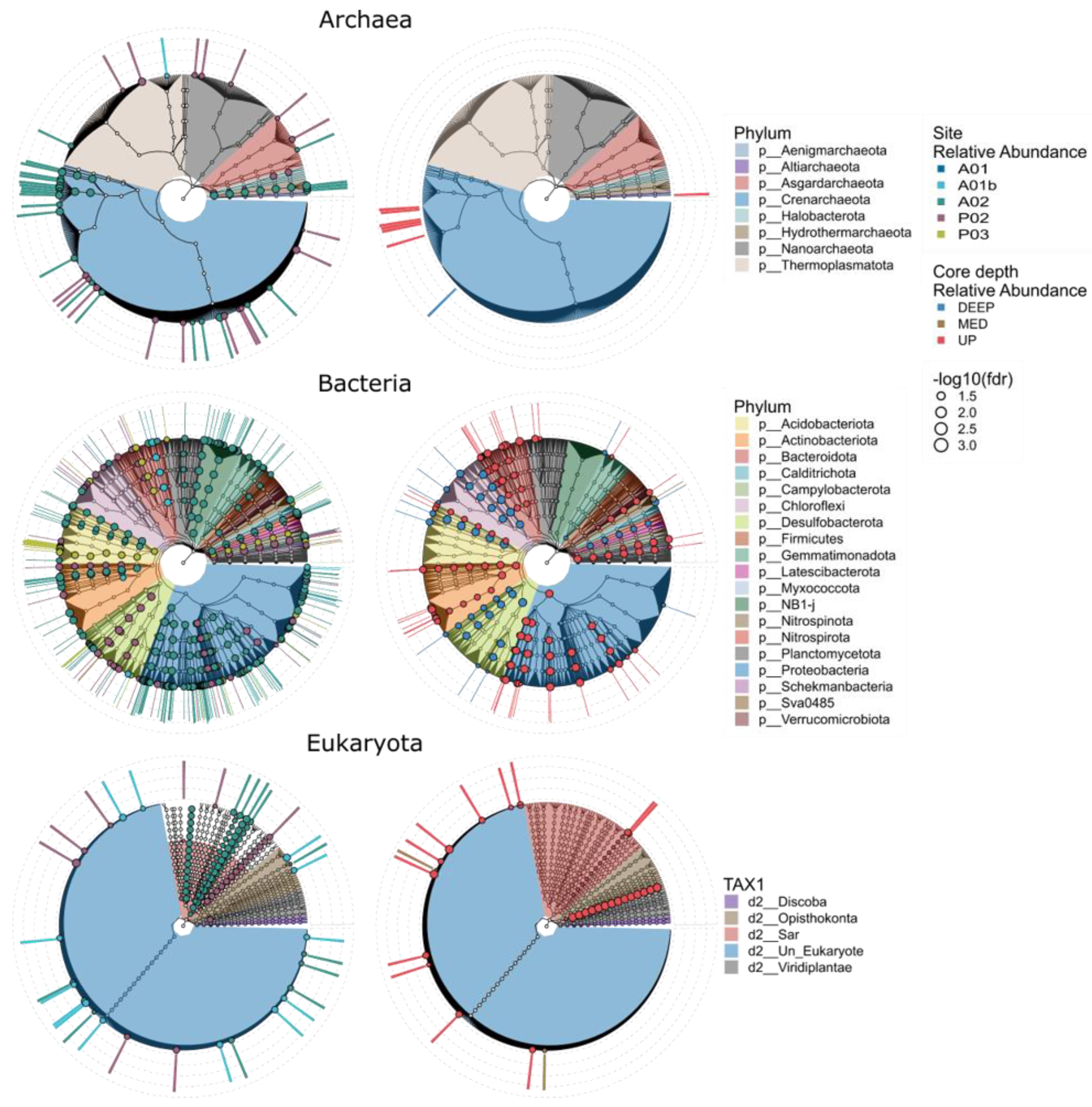 Microorganisms 12 01273 g007