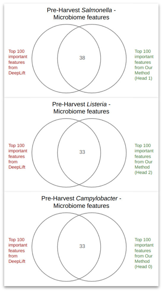 Microorganisms 12 01274 g0a5
