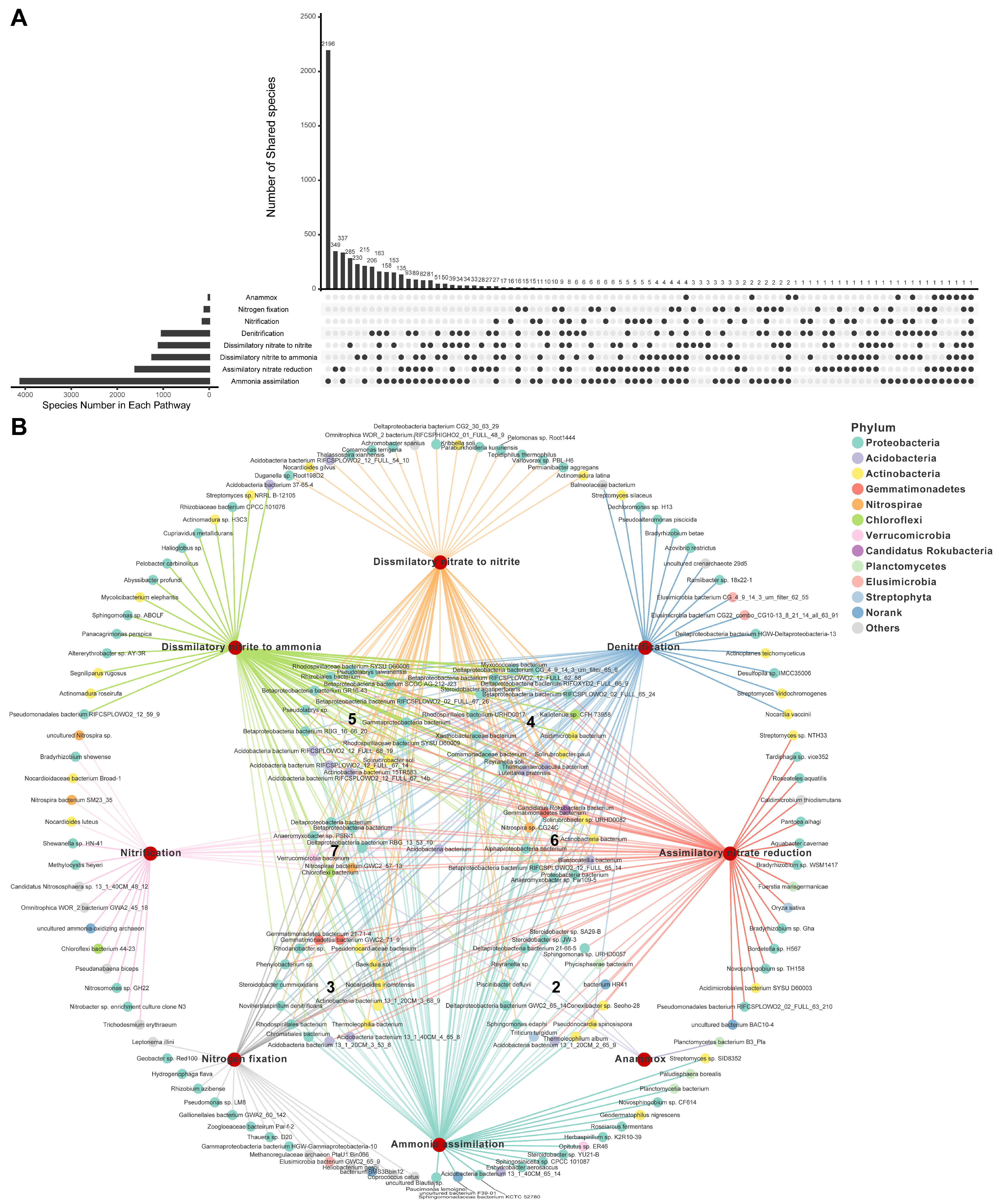 Microorganisms 12 01283 g001