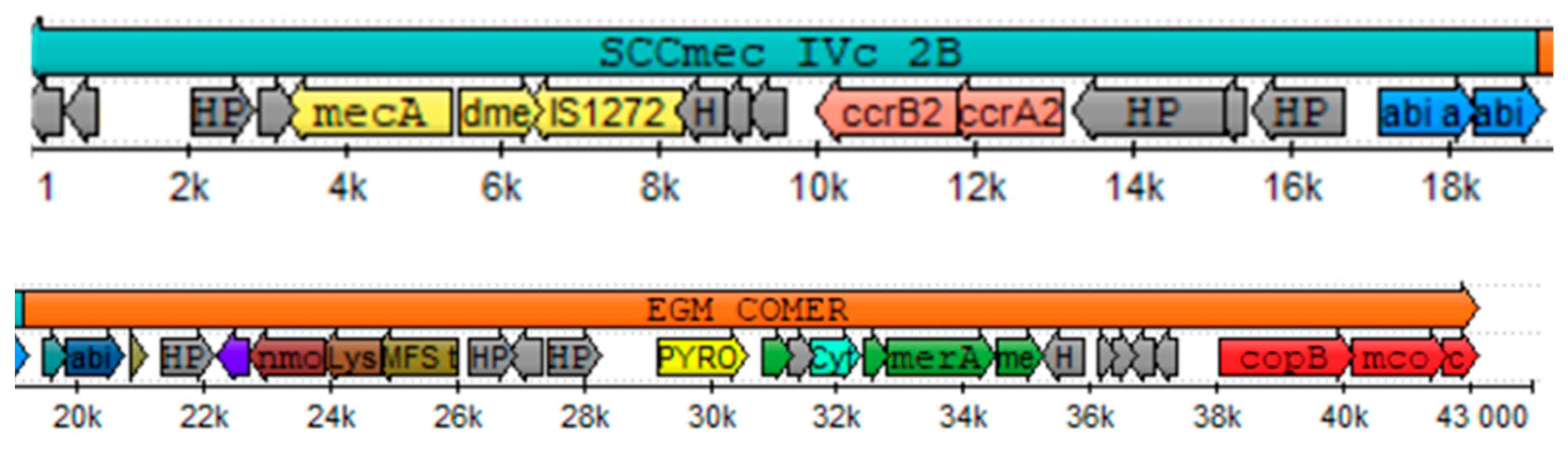 Microorganisms 12 01284 g003 Microorganisms 12 01284 g003