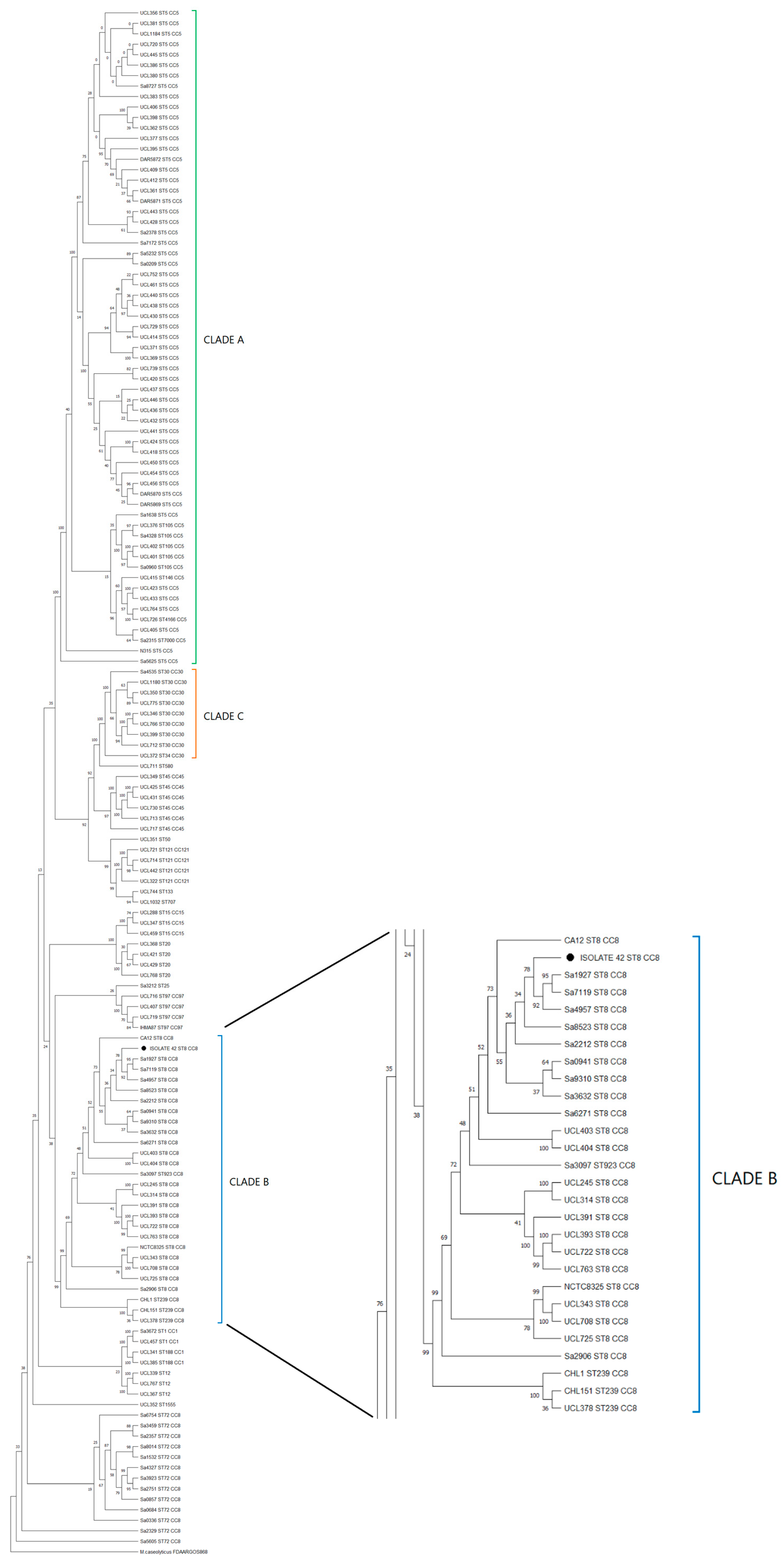 Microorganisms 12 01284 g004 Microorganisms 12 01284 g004