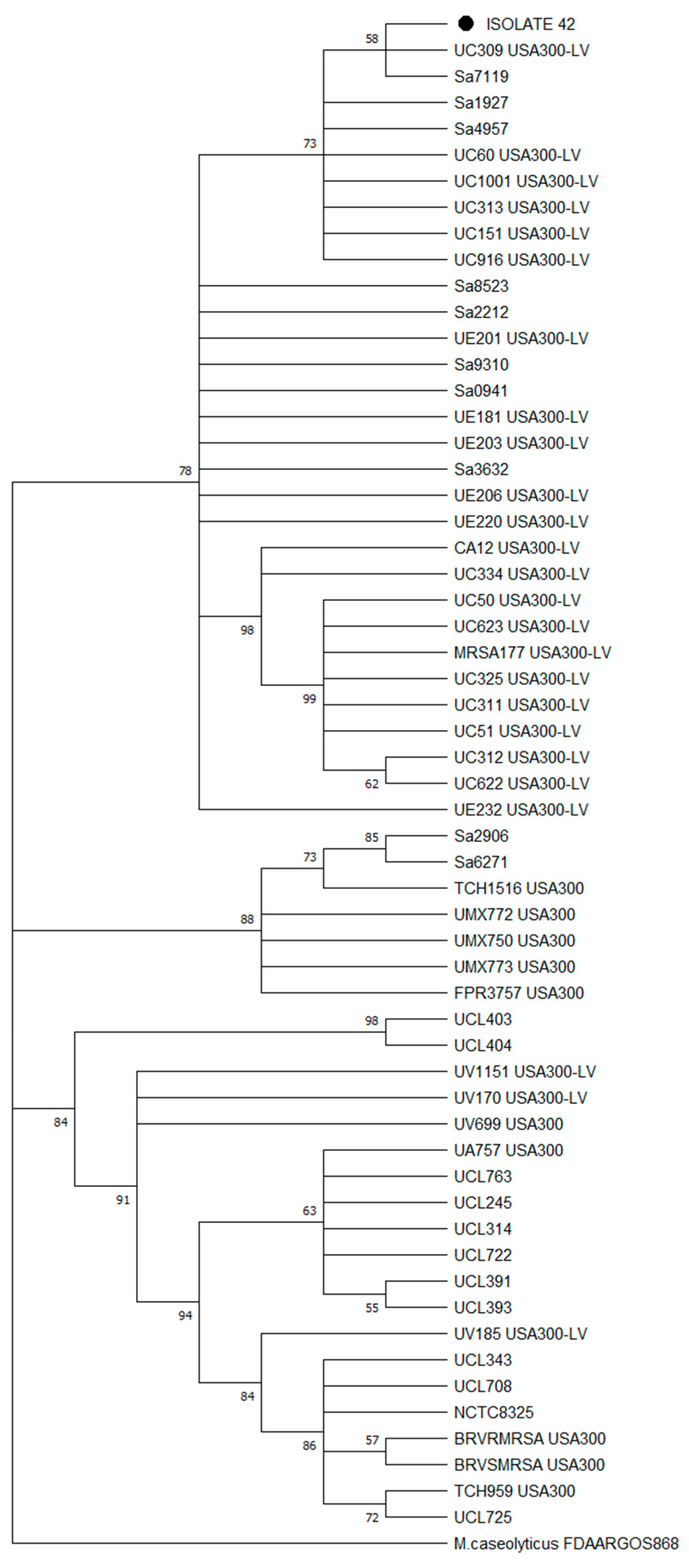 Microorganisms 12 01284 g005 Microorganisms 12 01284 g005