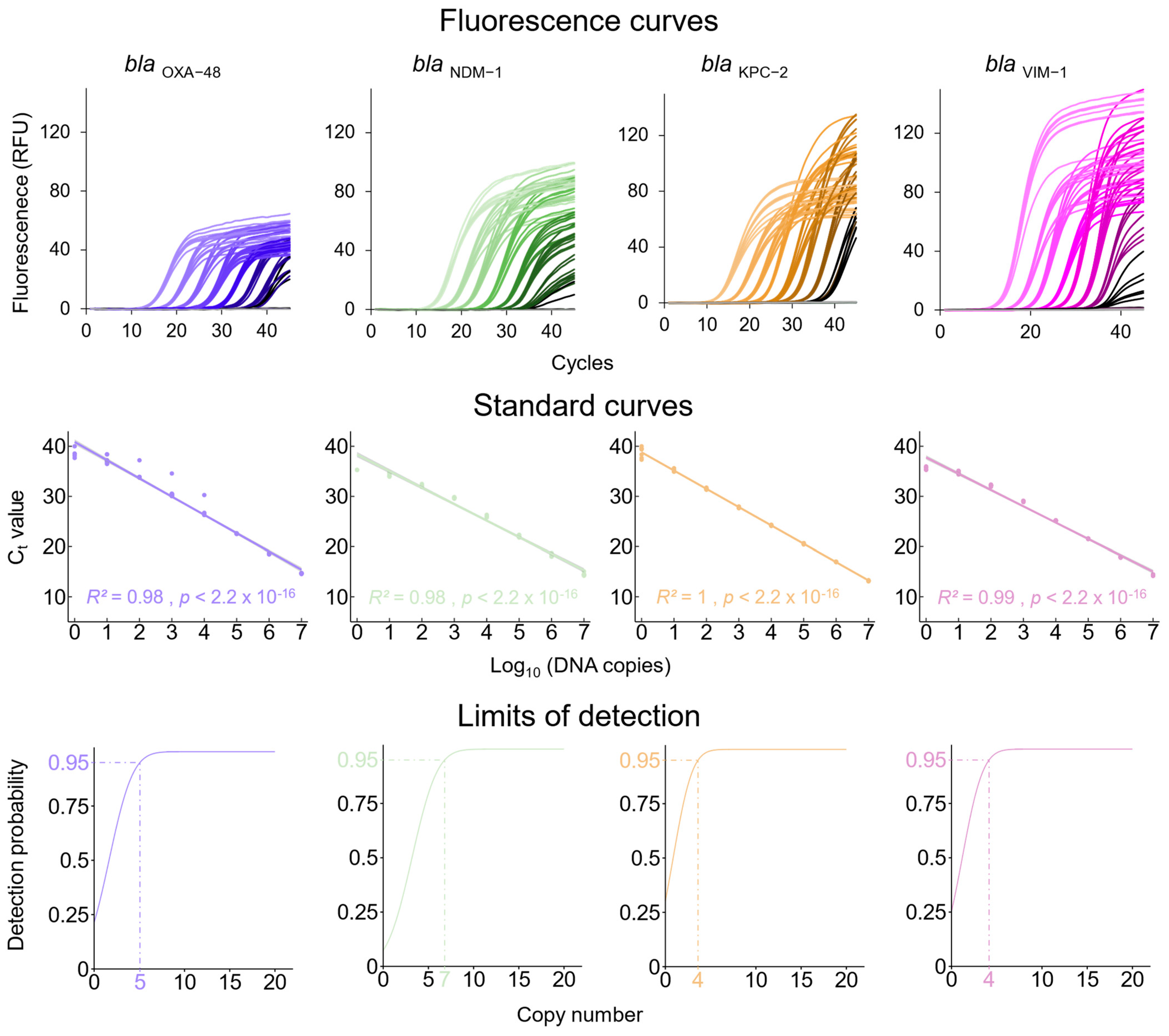 Microorganisms 12 01285 g001 Microorganisms 12 01285 g001