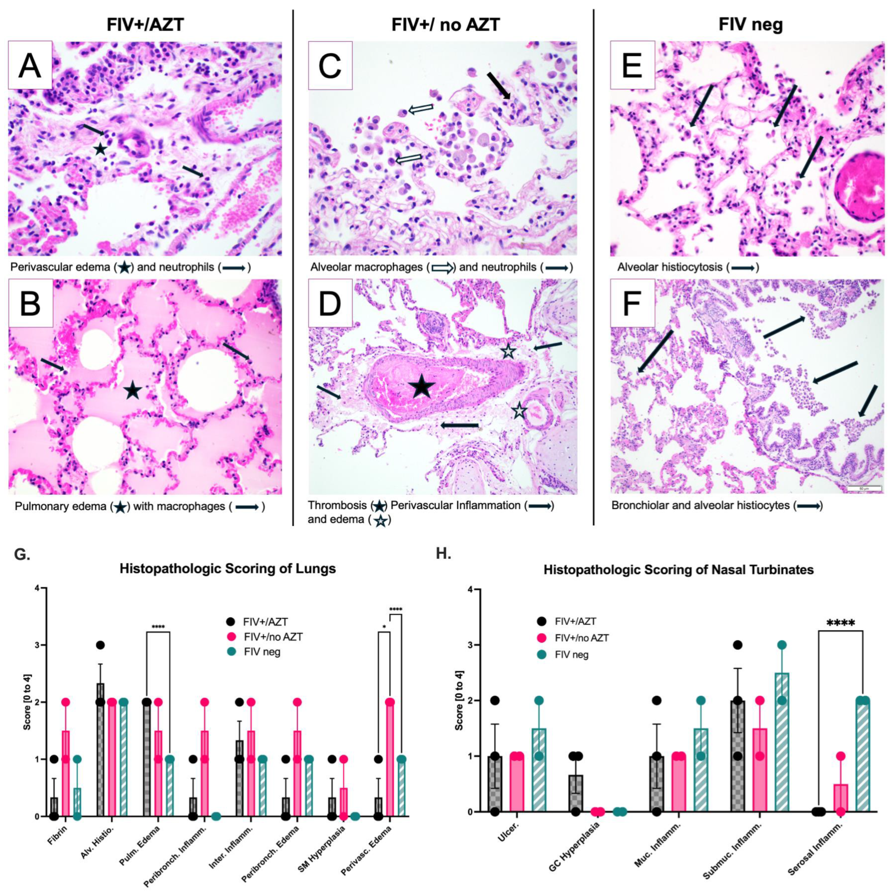 Microorganisms 12 01289 g005