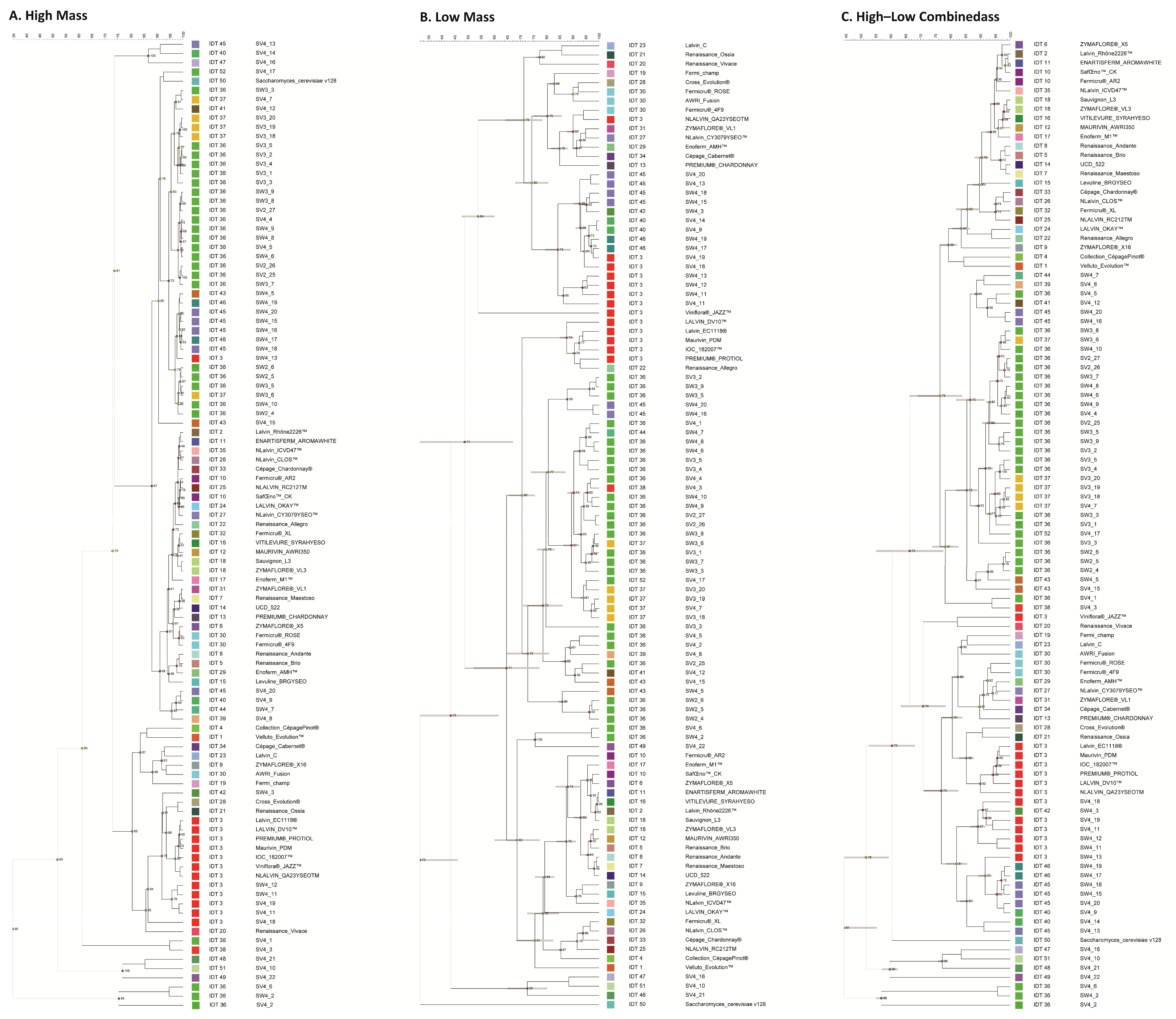 Microorganisms 12 01299 g004