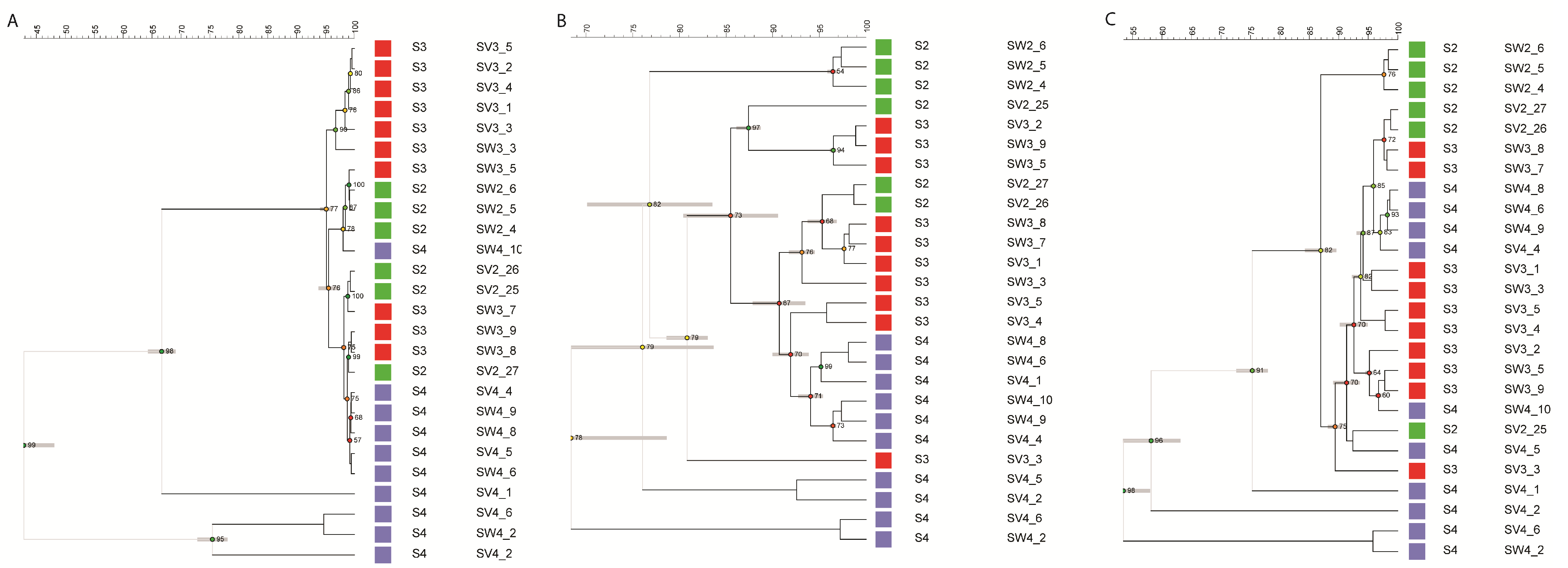 Microorganisms 12 01299 g005