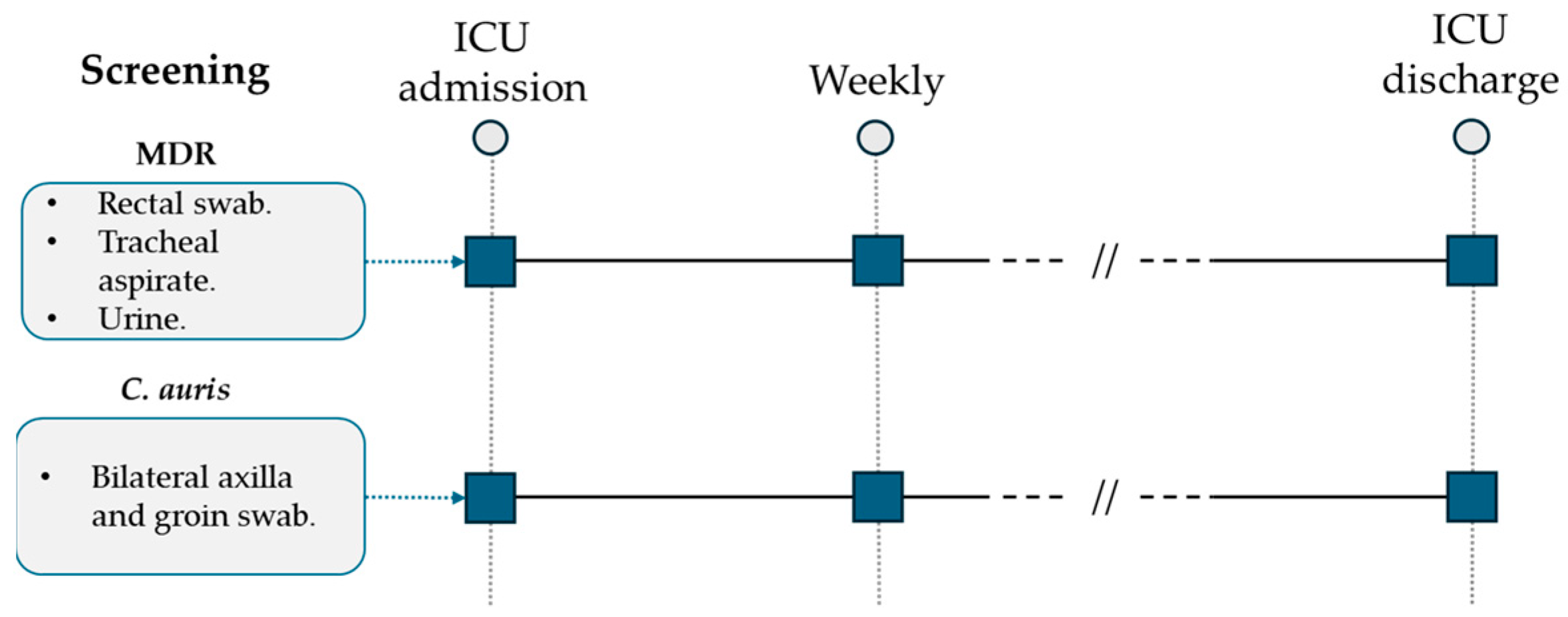 Microorganisms 12 01312 g001