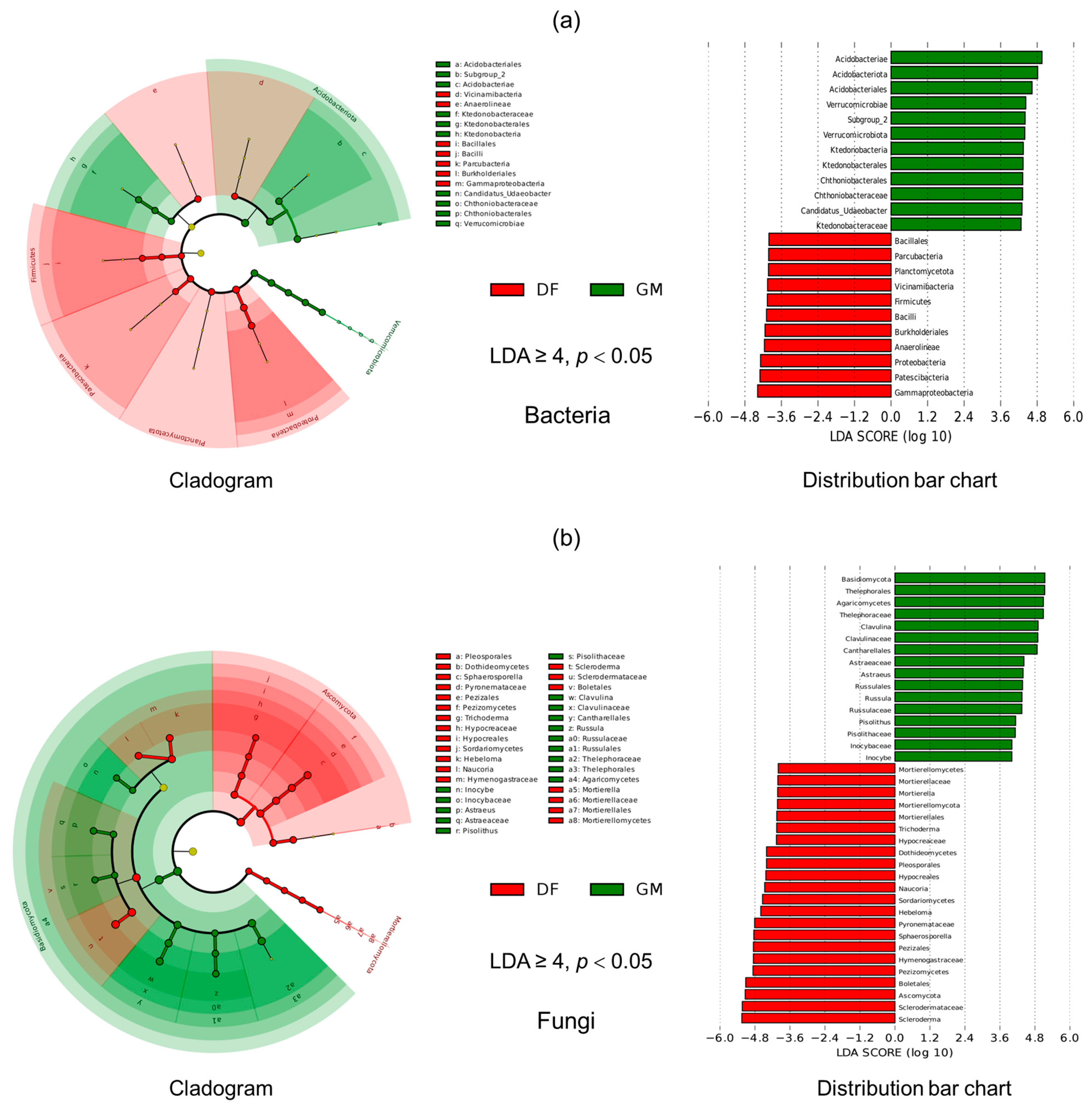 Microorganisms 12 01313 g004