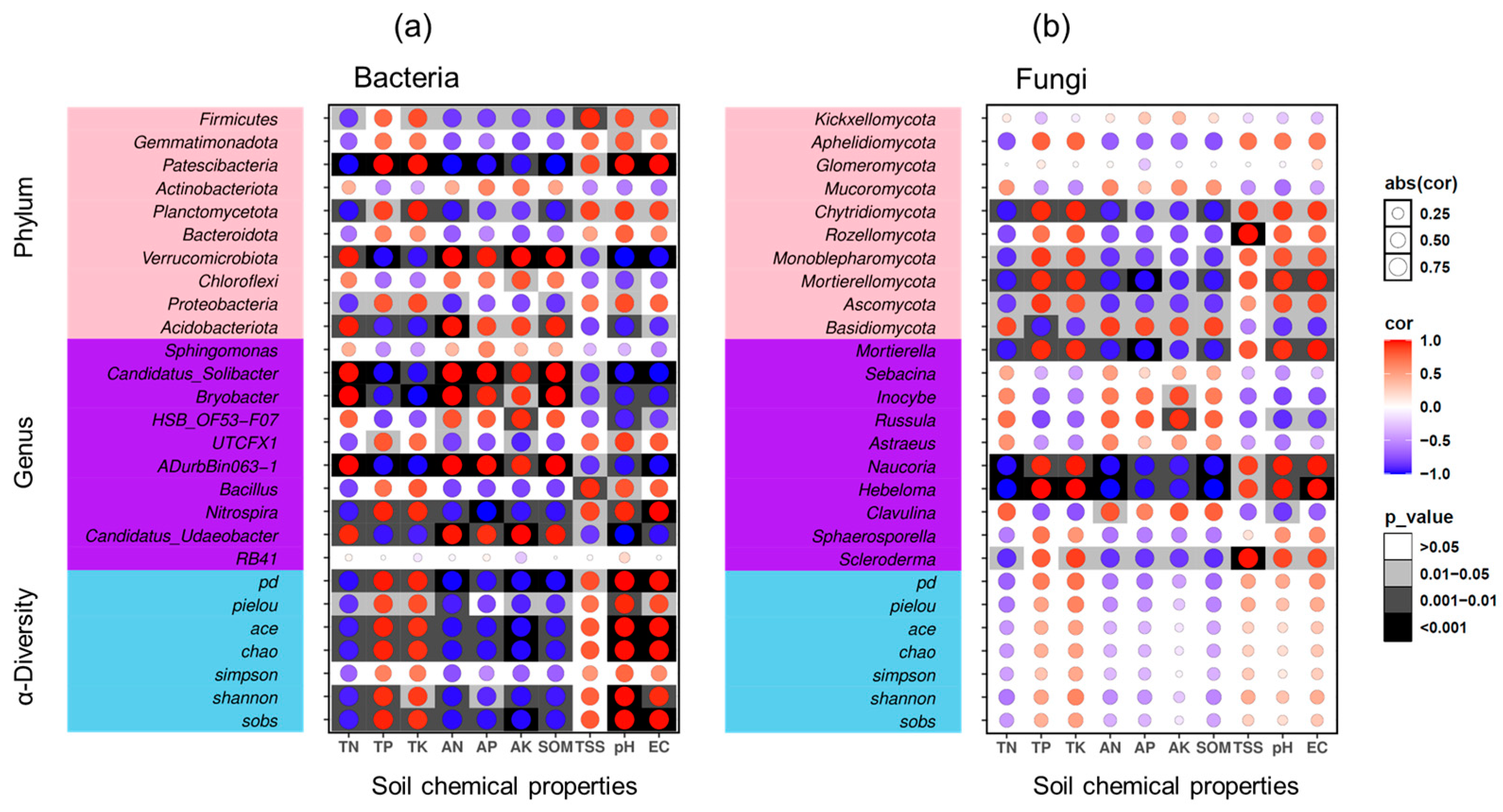 Microorganisms 12 01313 g006