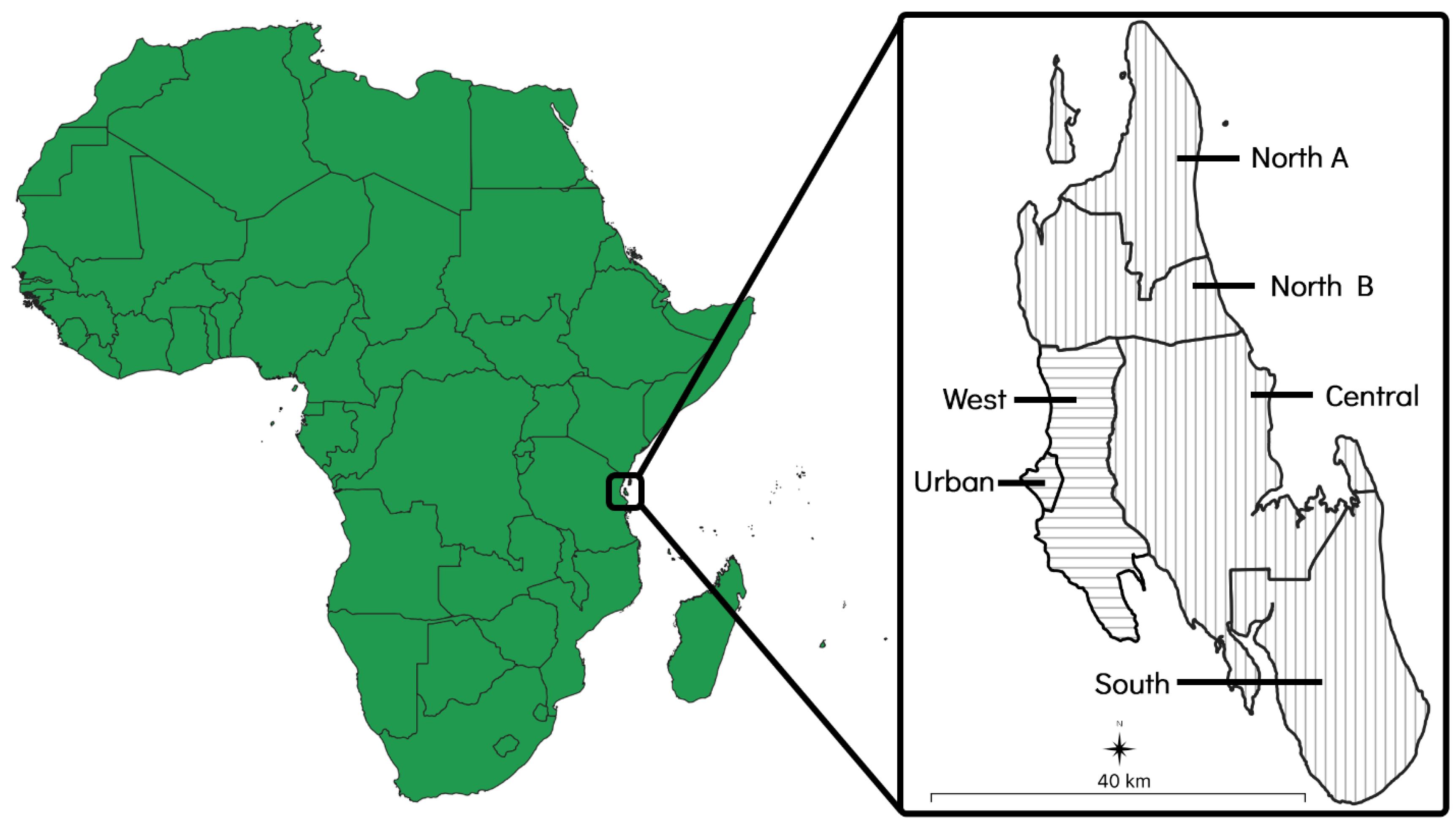 Microorganisms 12 01314 g001