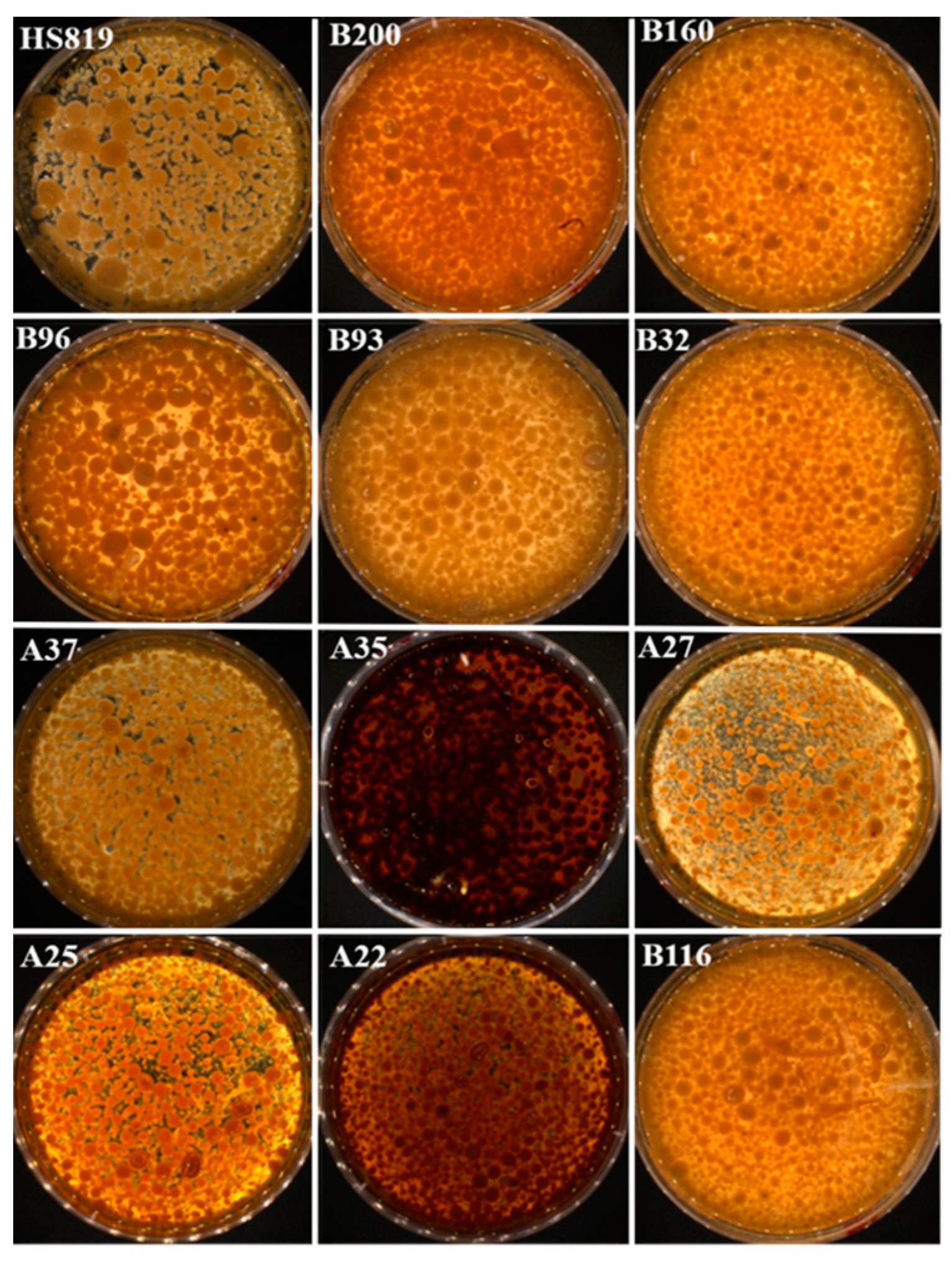 Microorganisms 12 01335 g003
