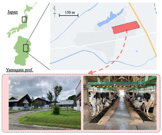 Microorganisms 12 01342 g0a1