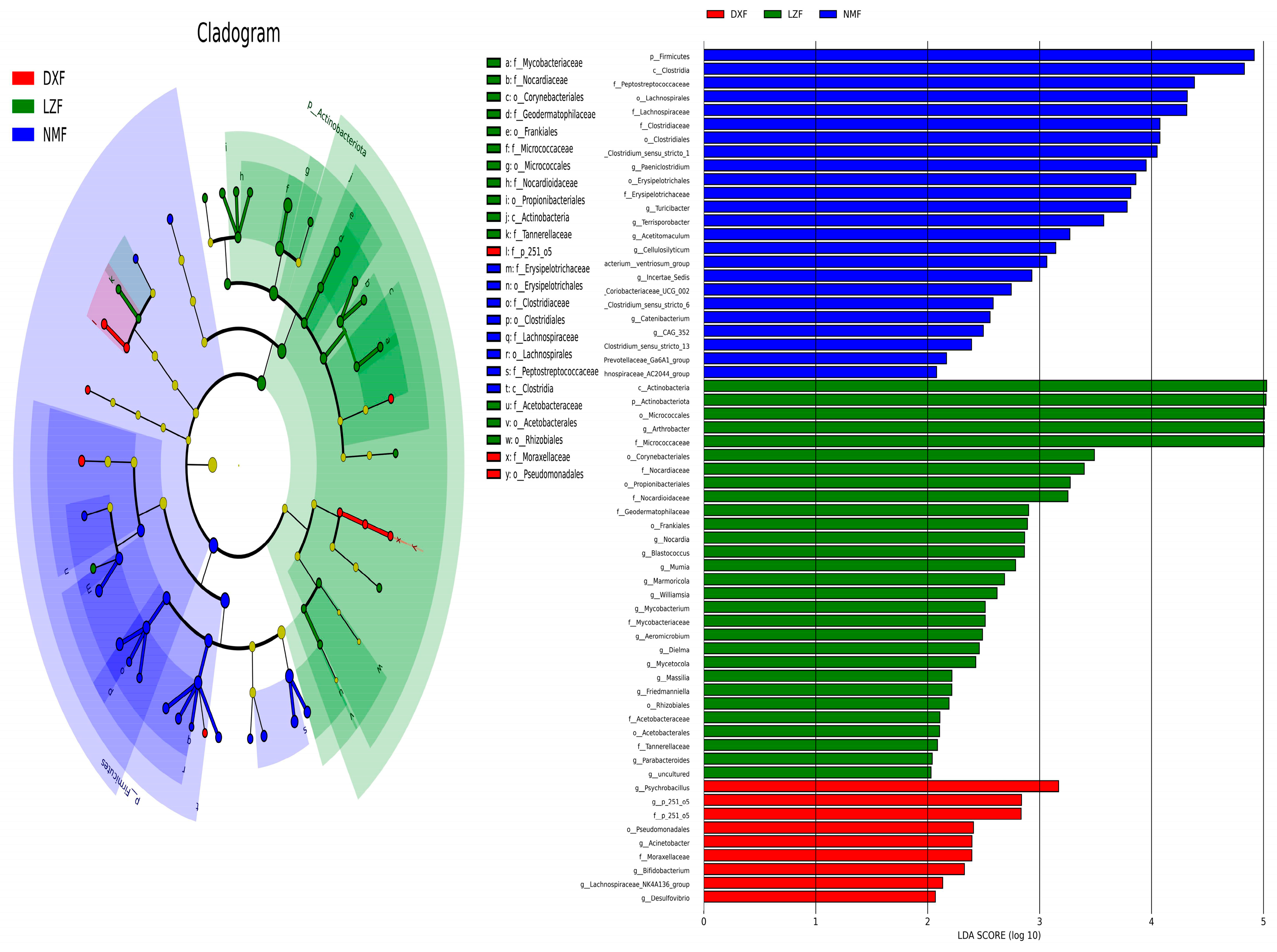 Microorganisms 12 01350 g004