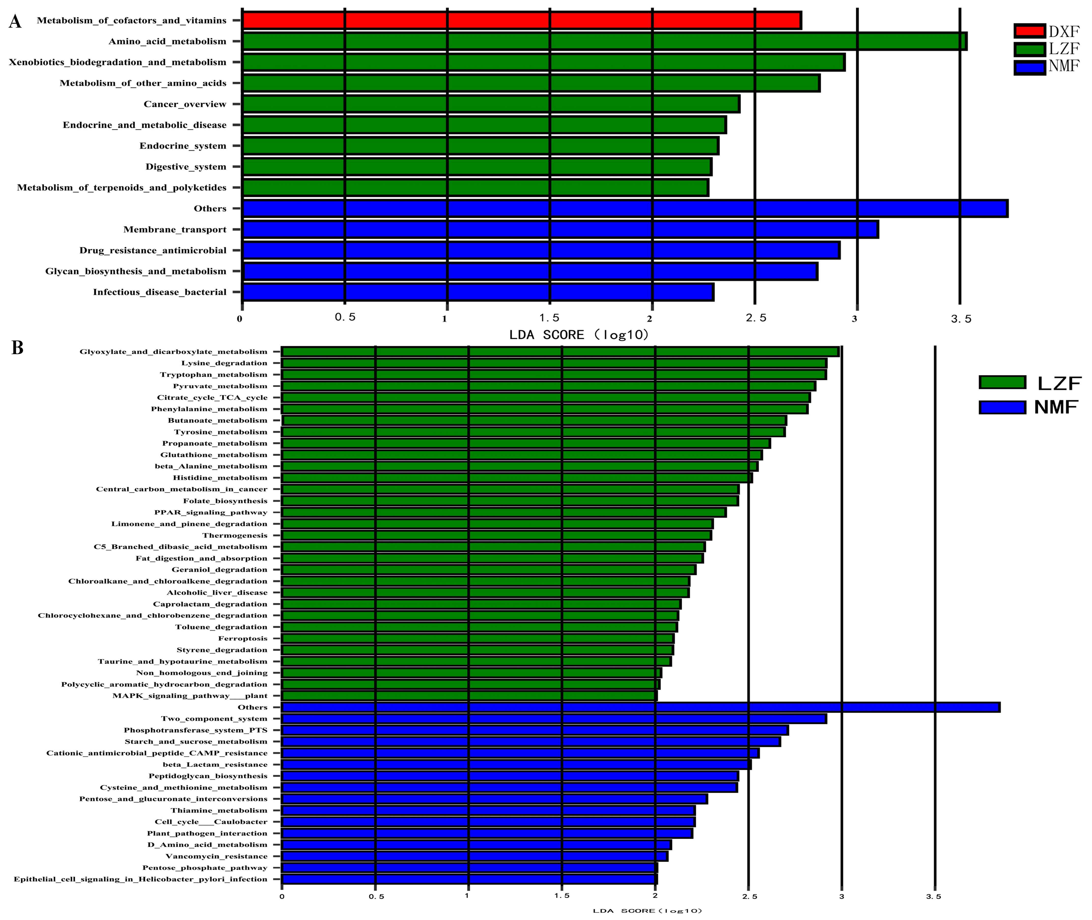 Microorganisms 12 01350 g008