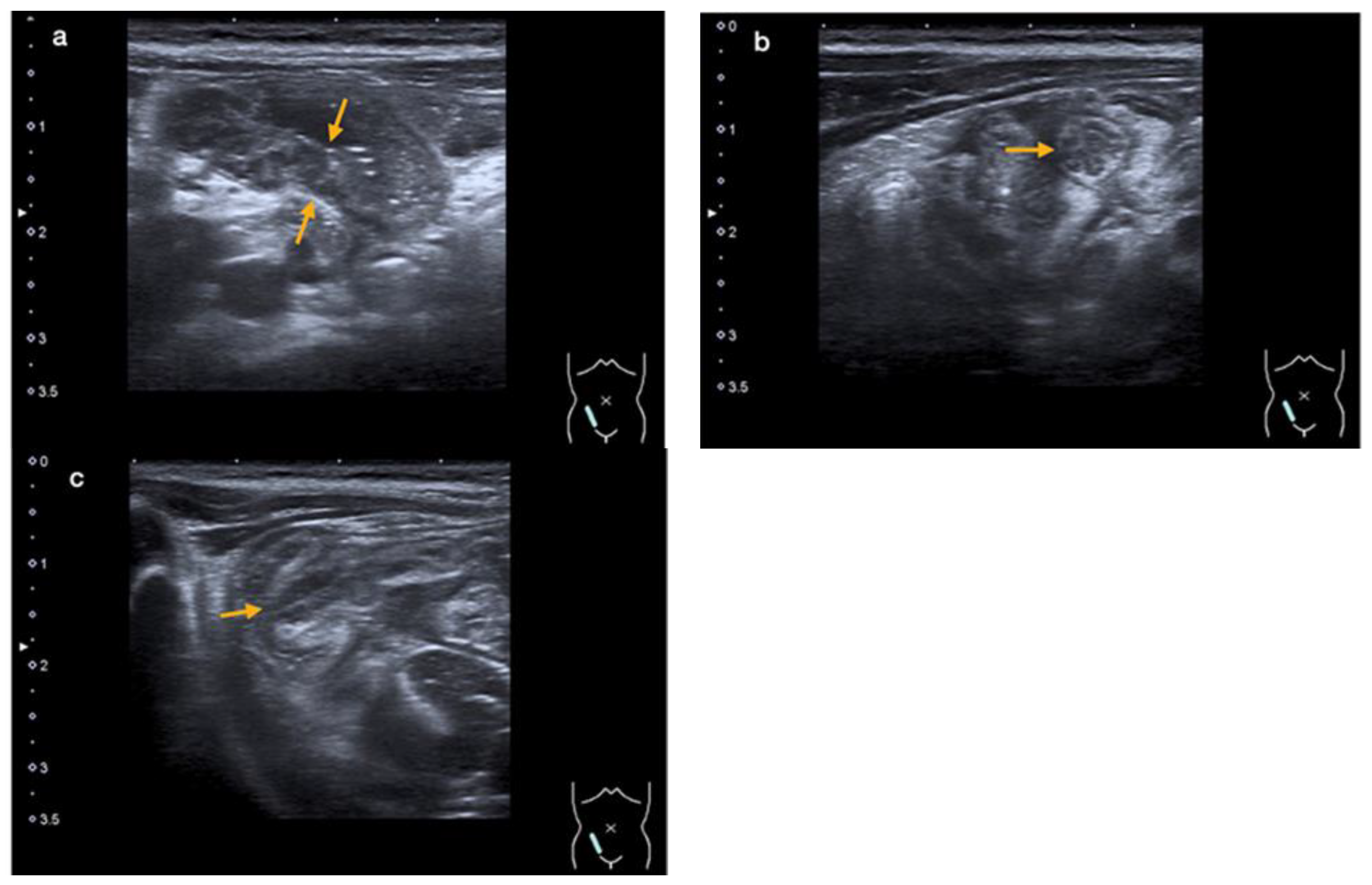 Microorganisms 12 01377 g002