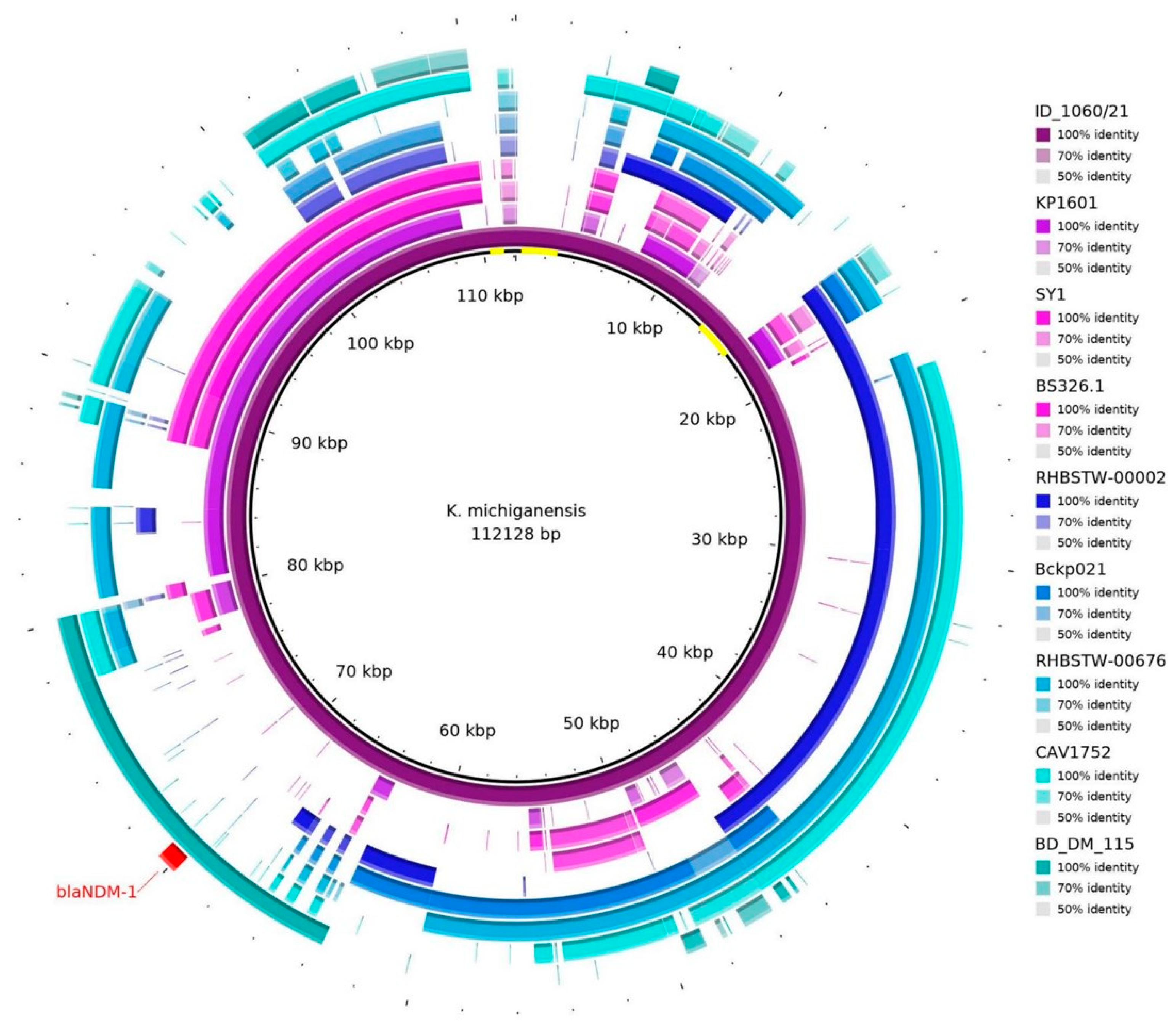 Microorganisms 12 01408 g001
