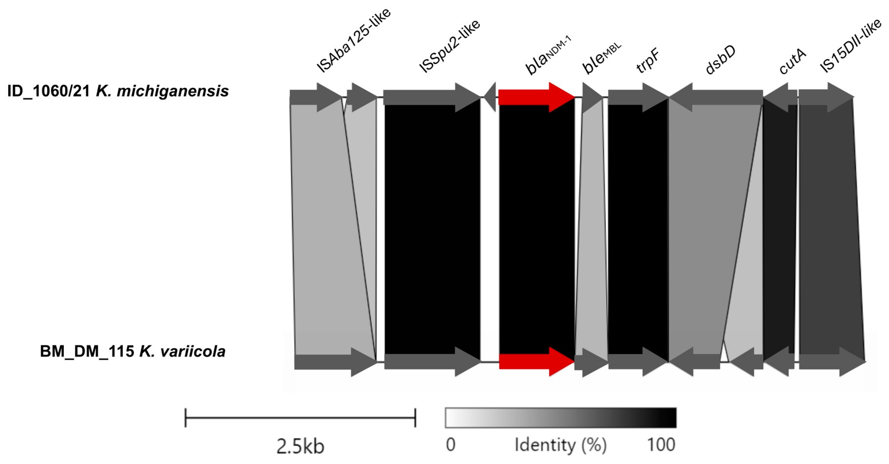Microorganisms 12 01408 g002