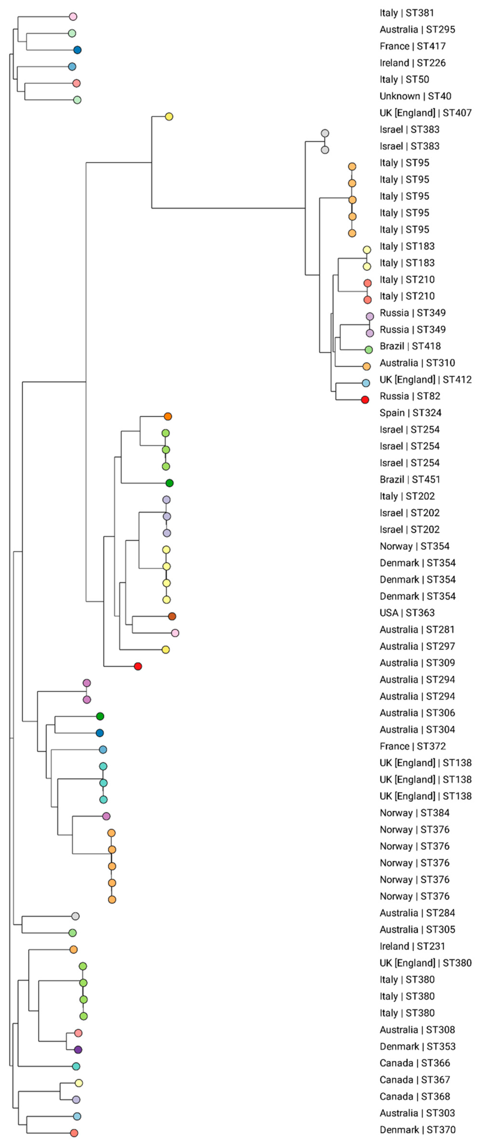 Microorganisms 12 01408 g003