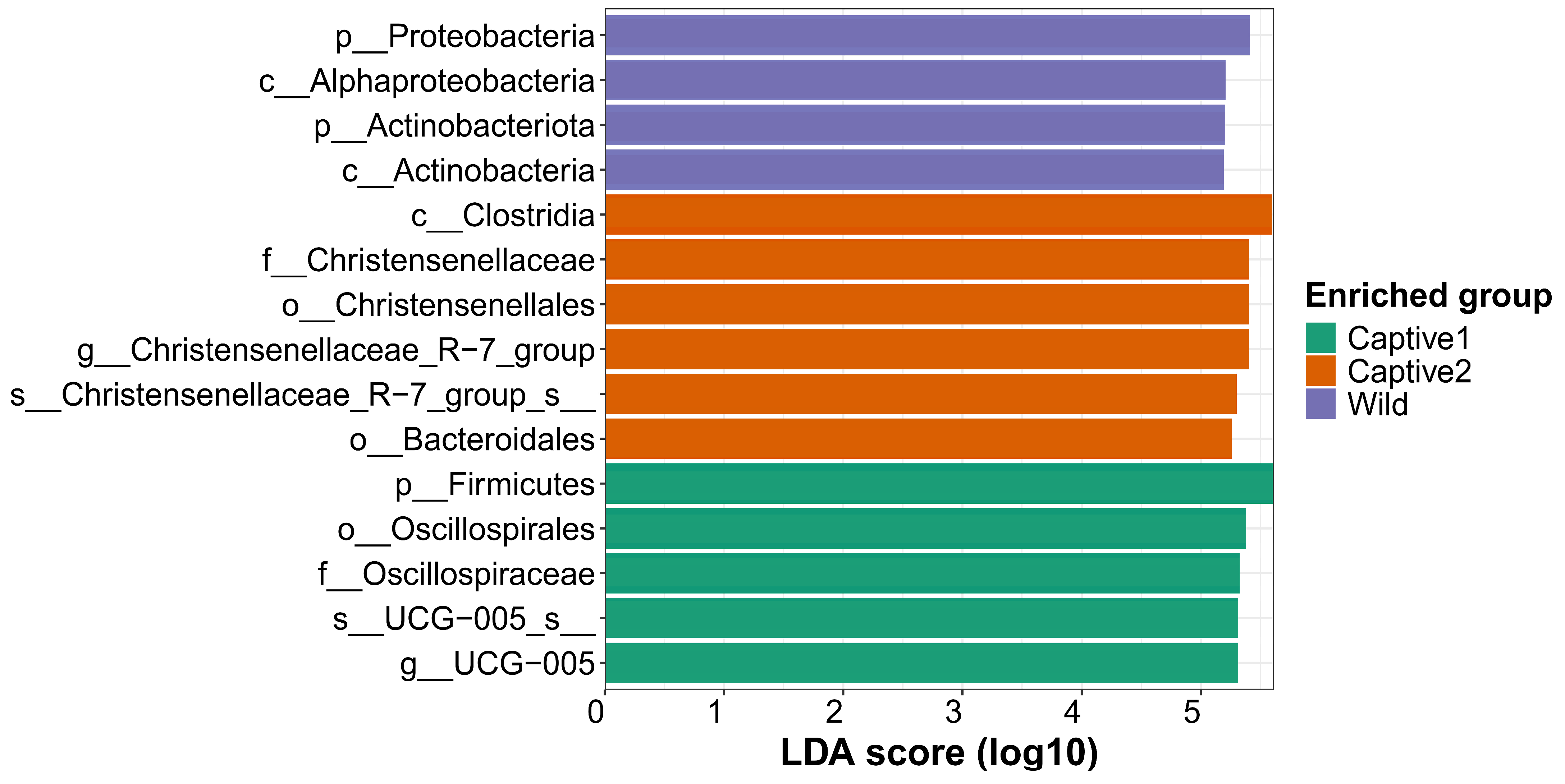 Microorganisms 12 01419 g004