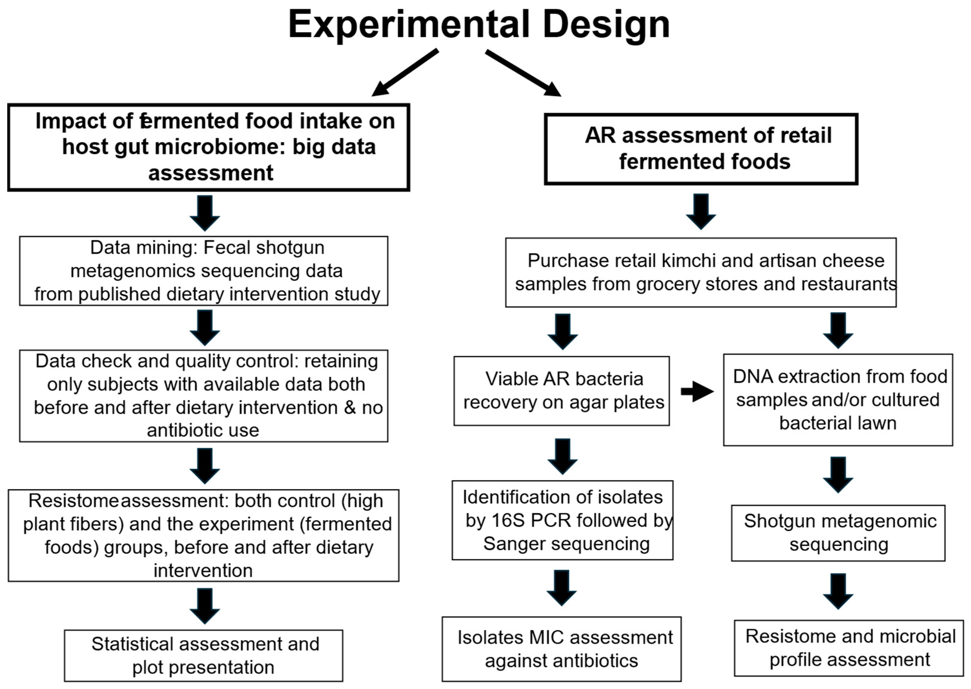 Microorganisms 12 01433 g001