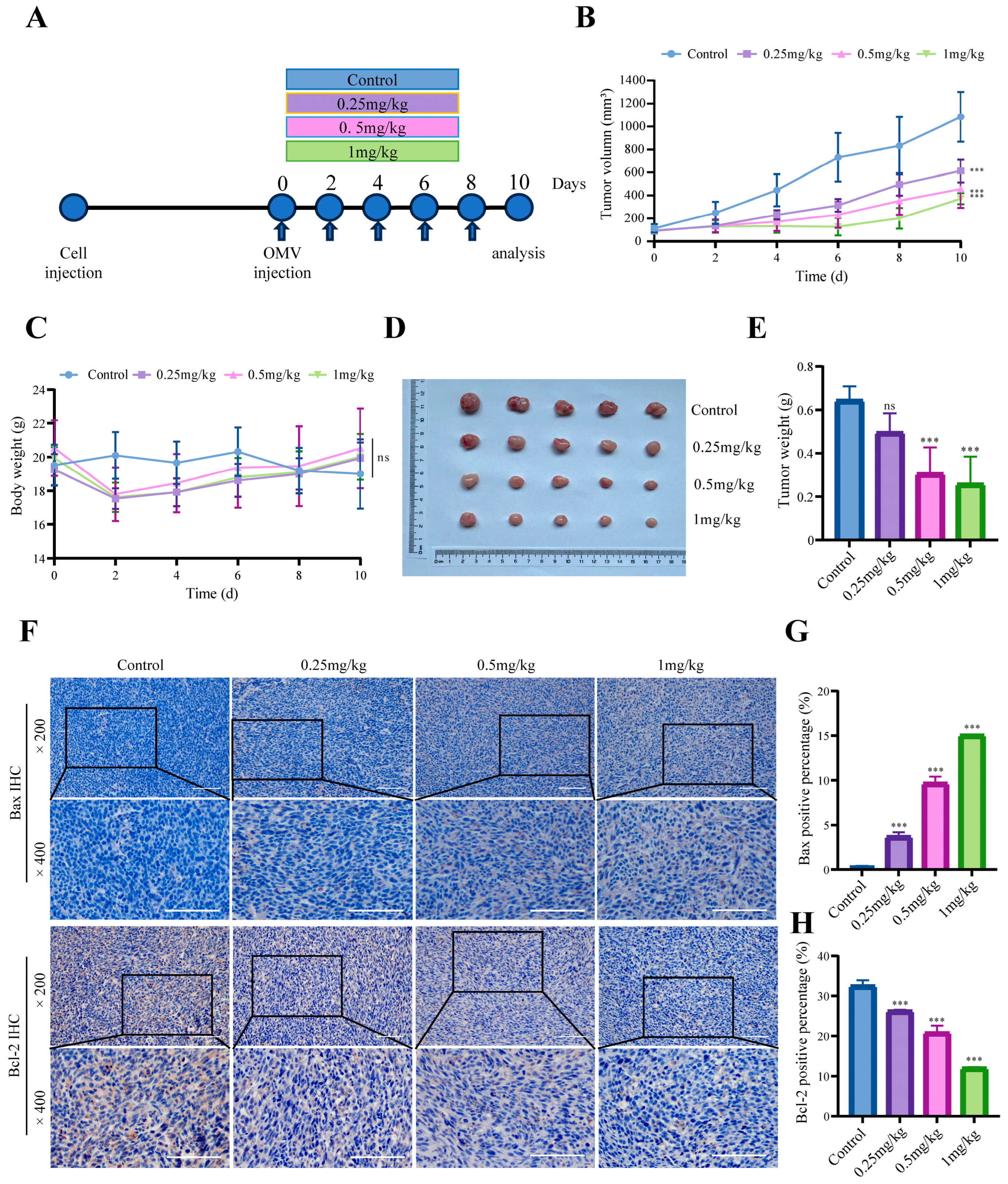 Microorganisms 12 01446 g002