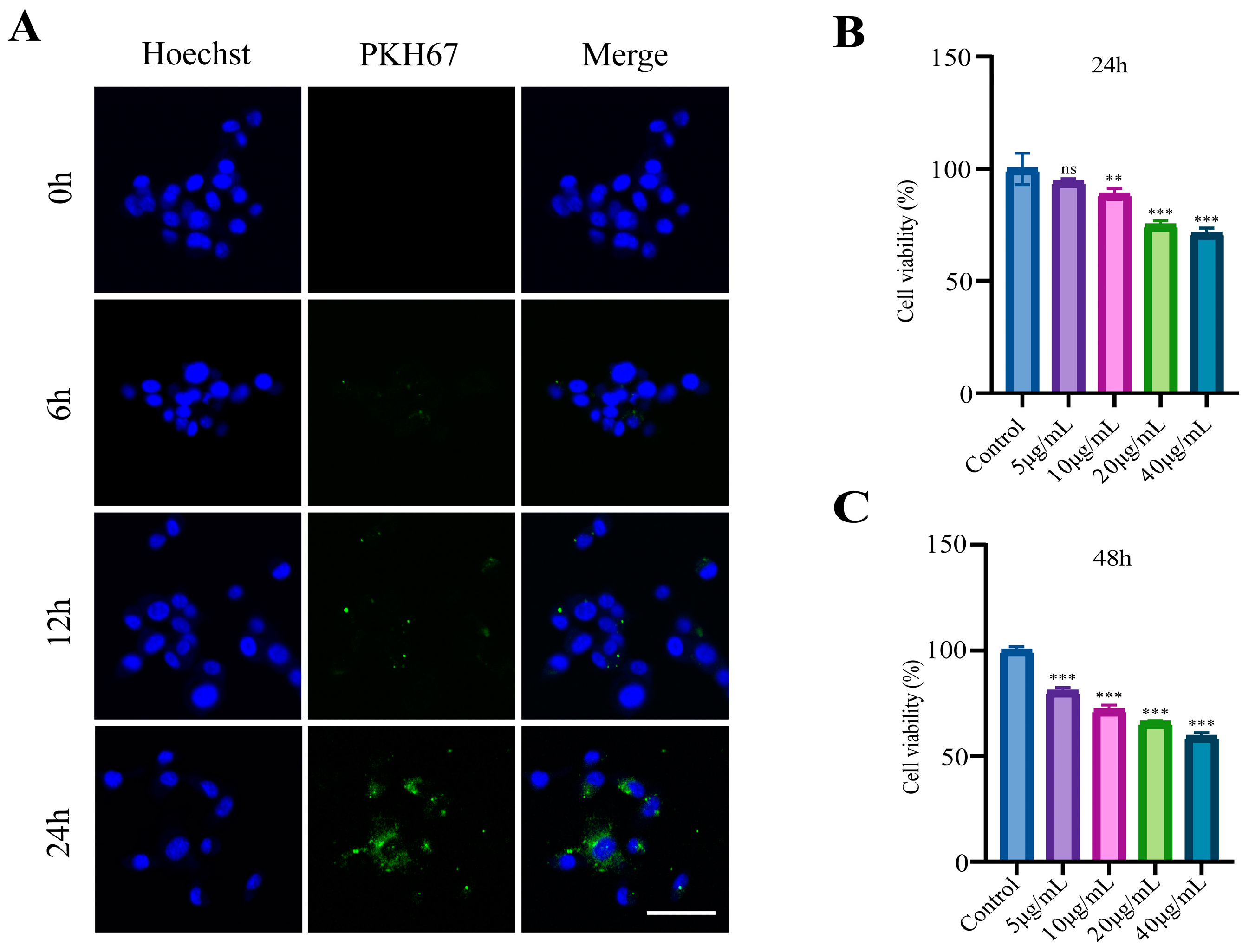 Microorganisms 12 01446 g003