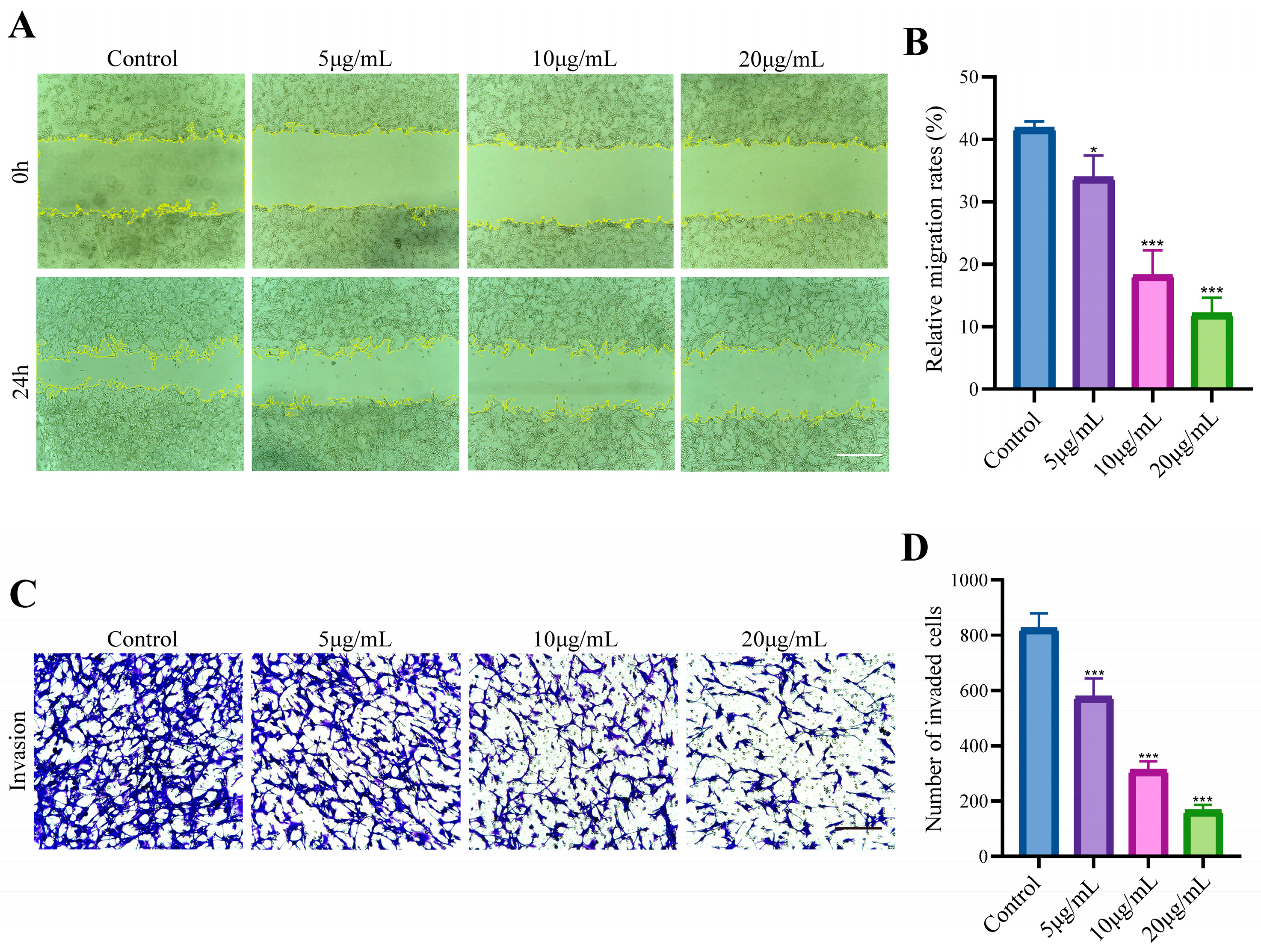 Microorganisms 12 01446 g004
