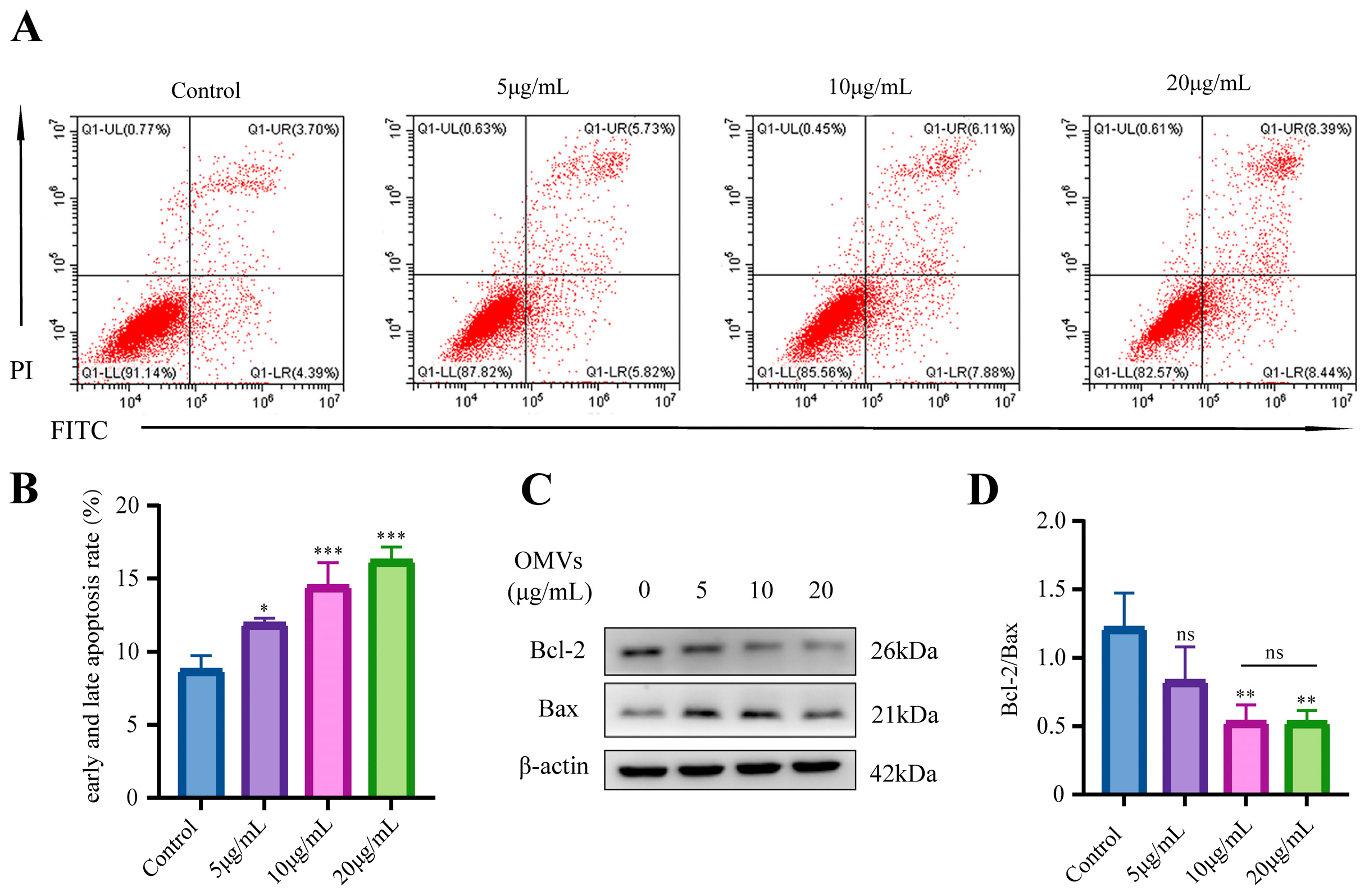 Microorganisms 12 01446 g005