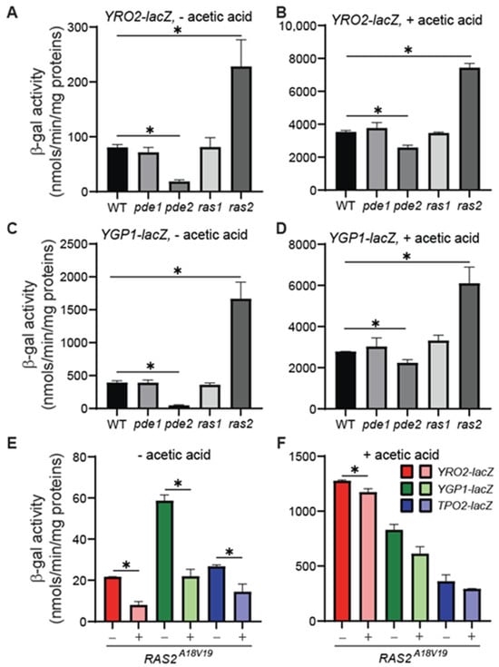 Microorganisms 12 01452 g001
