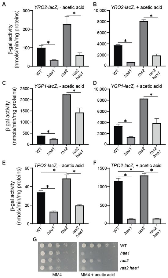 Microorganisms 12 01452 g002
