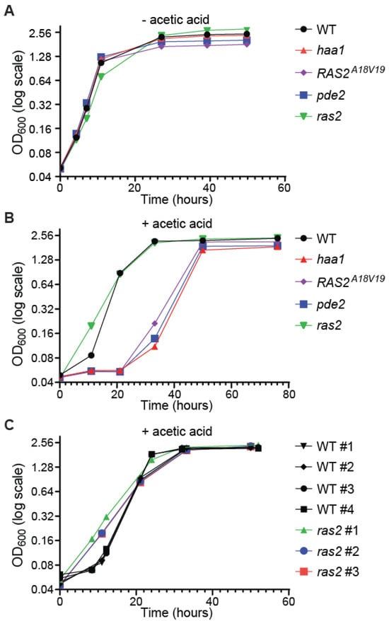 Microorganisms 12 01452 g003