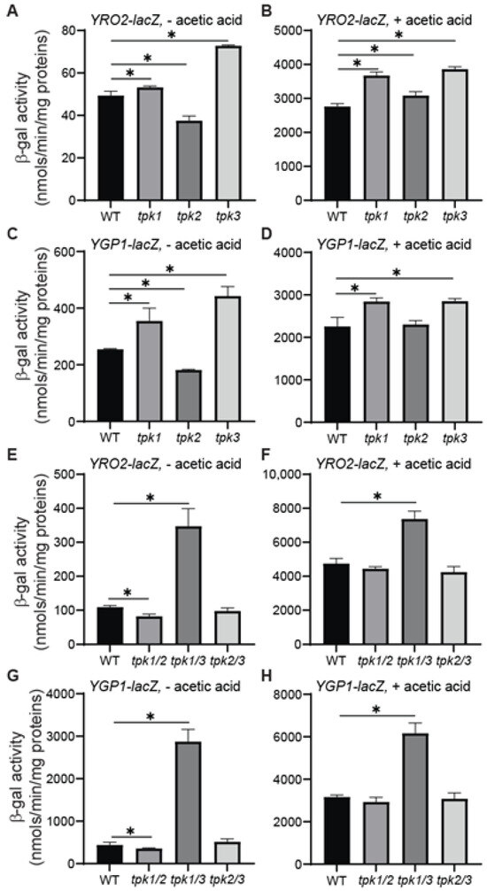 Microorganisms 12 01452 g004