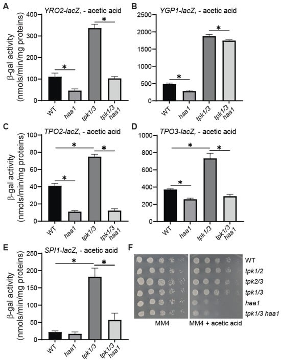Microorganisms 12 01452 g005
