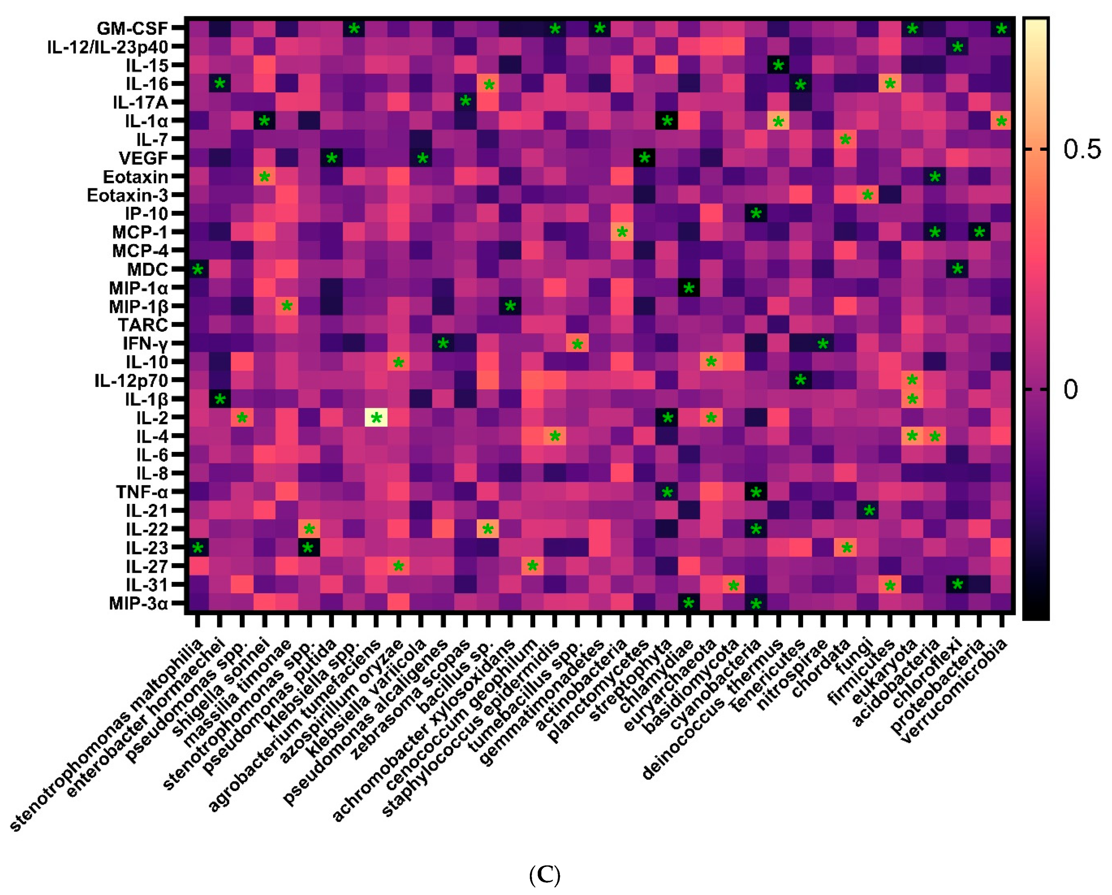 Microorganisms 12 01453 g003b