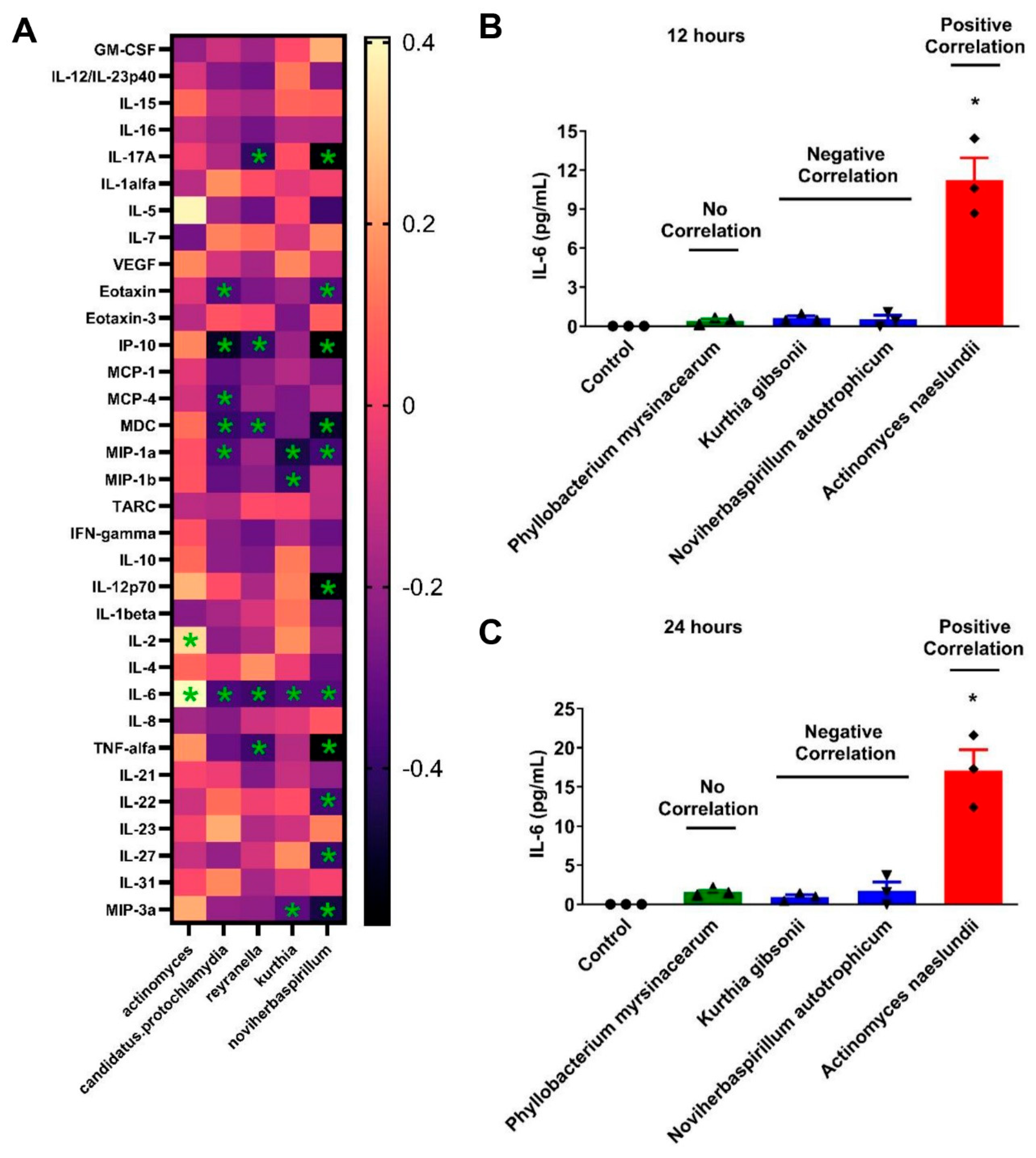 Microorganisms 12 01453 g004