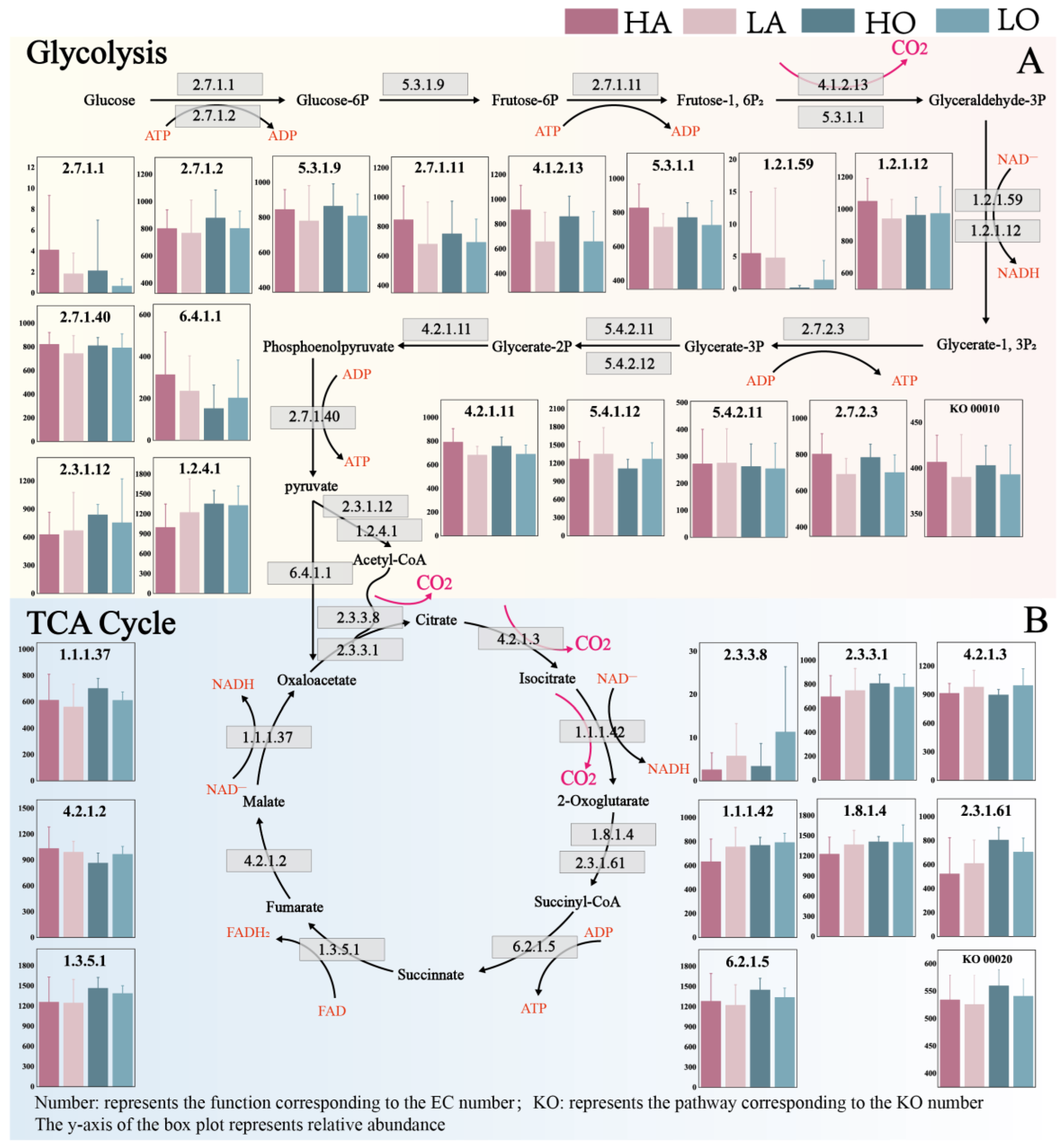 Microorganisms 12 01454 g005