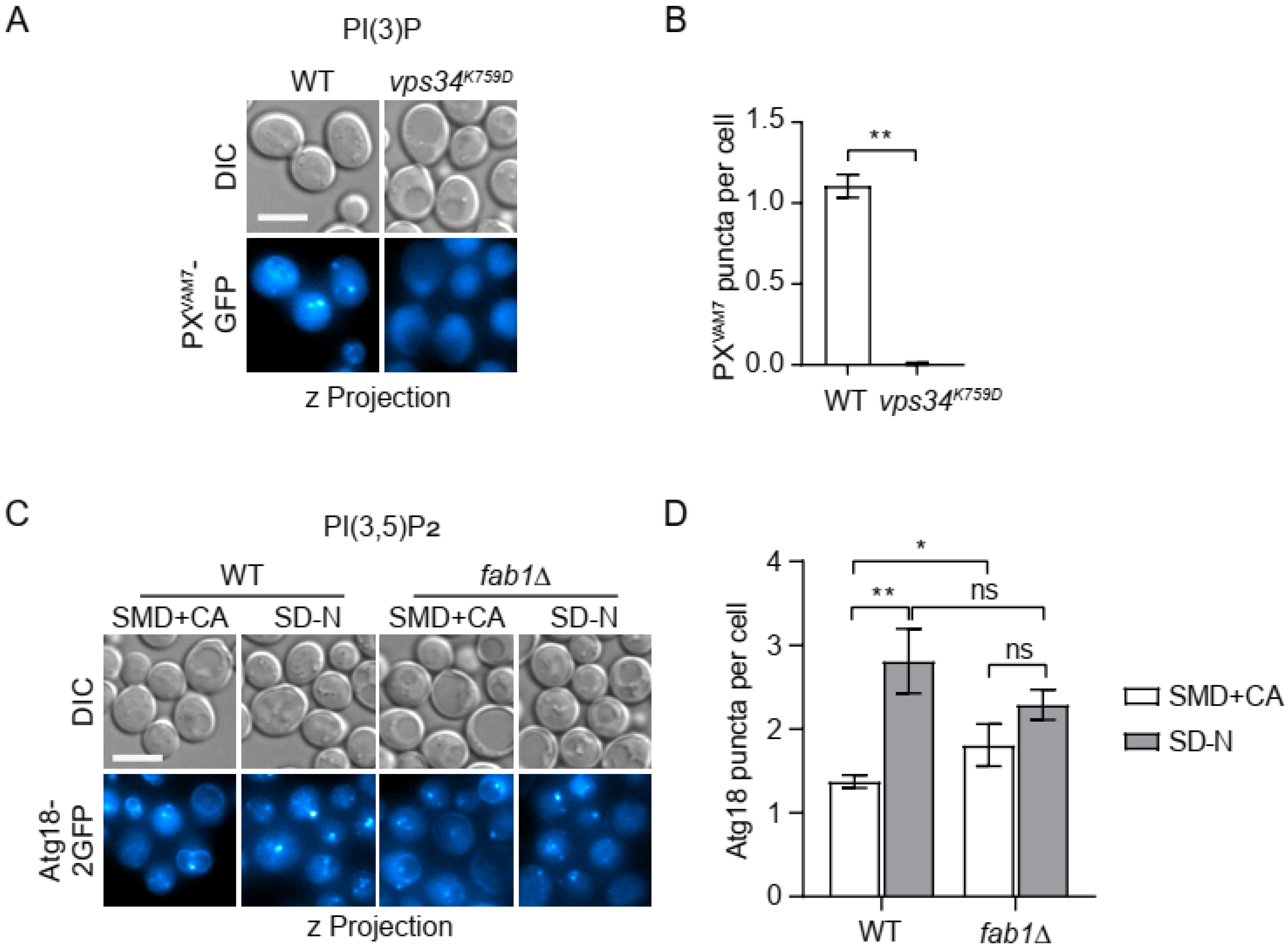 Microorganisms 12 01458 g003