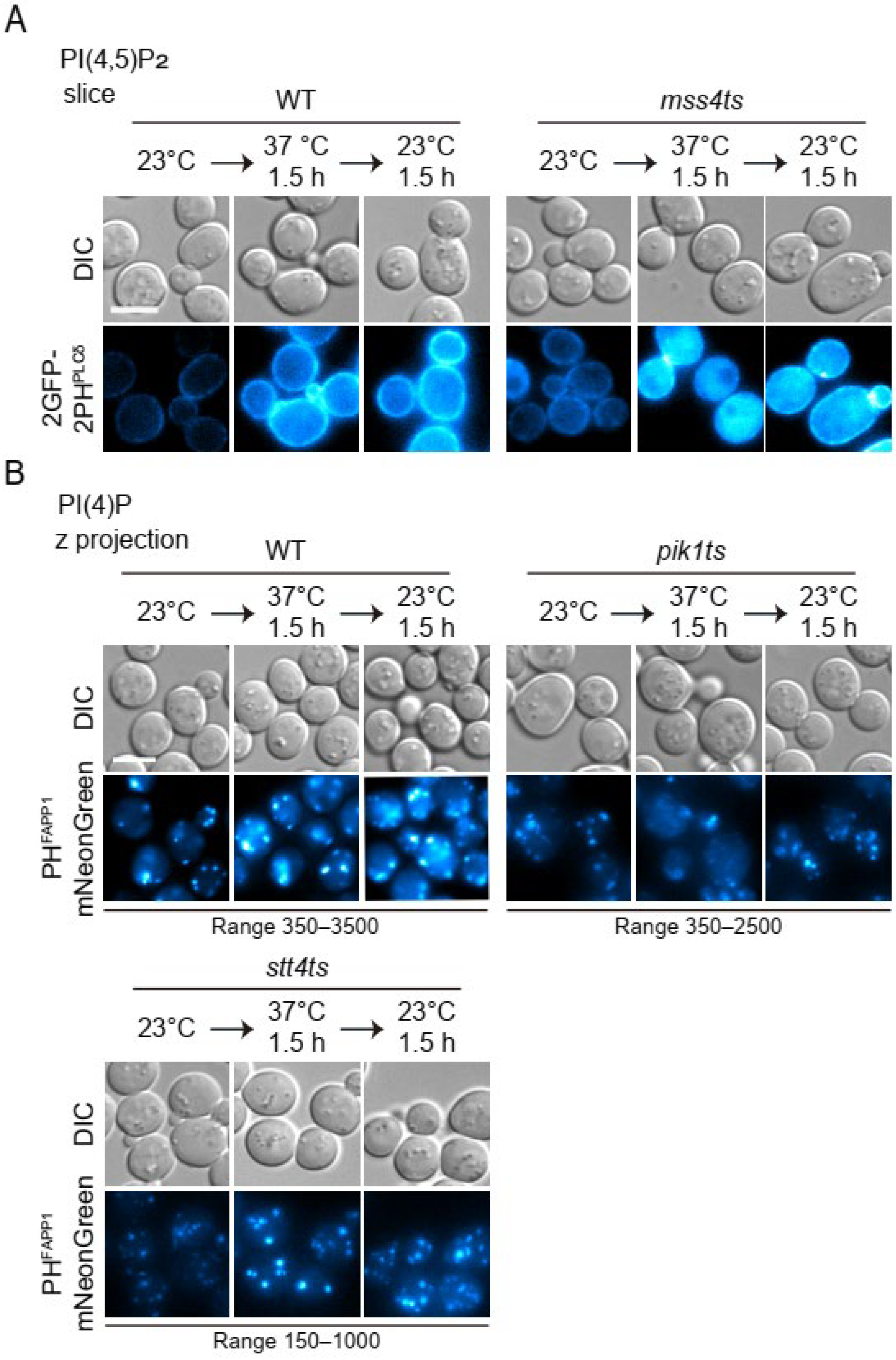 Microorganisms 12 01458 g004