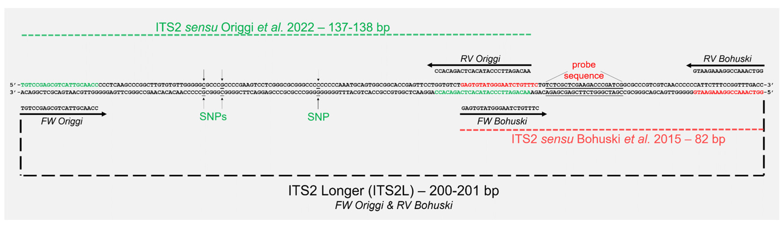 Microorganisms 12 01467 g001