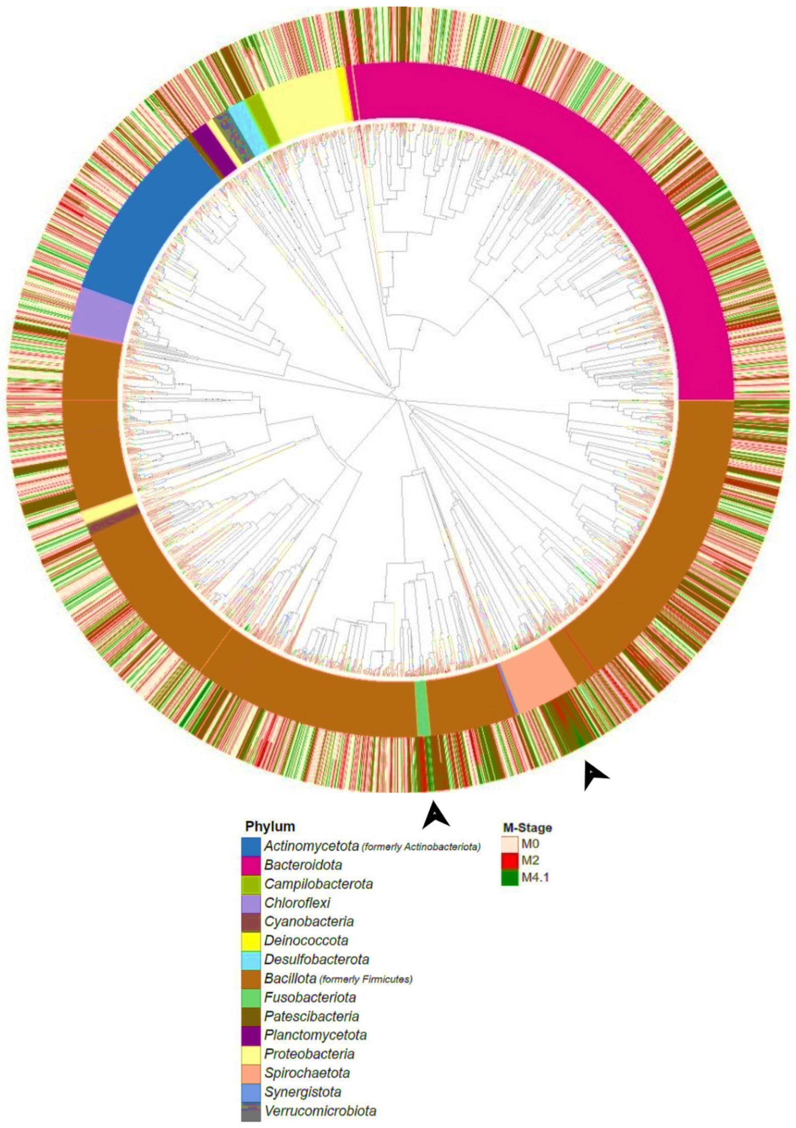 Microorganisms 12 01470 g005 Microorganisms 12 01470 g005